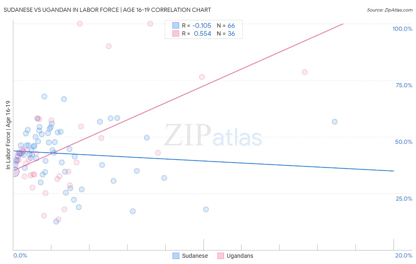 Sudanese vs Ugandan In Labor Force | Age 16-19