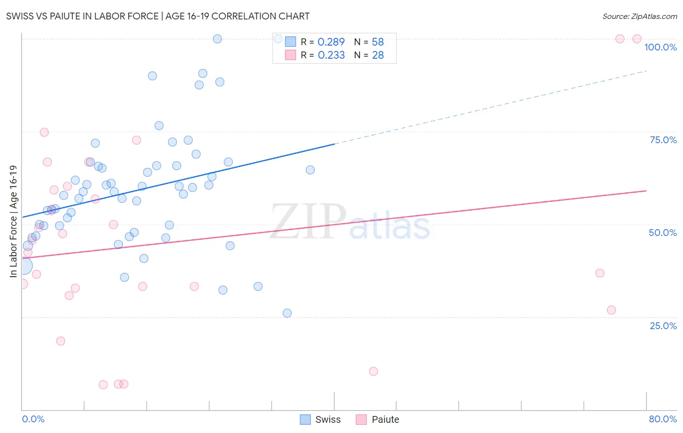 Swiss vs Paiute In Labor Force | Age 16-19