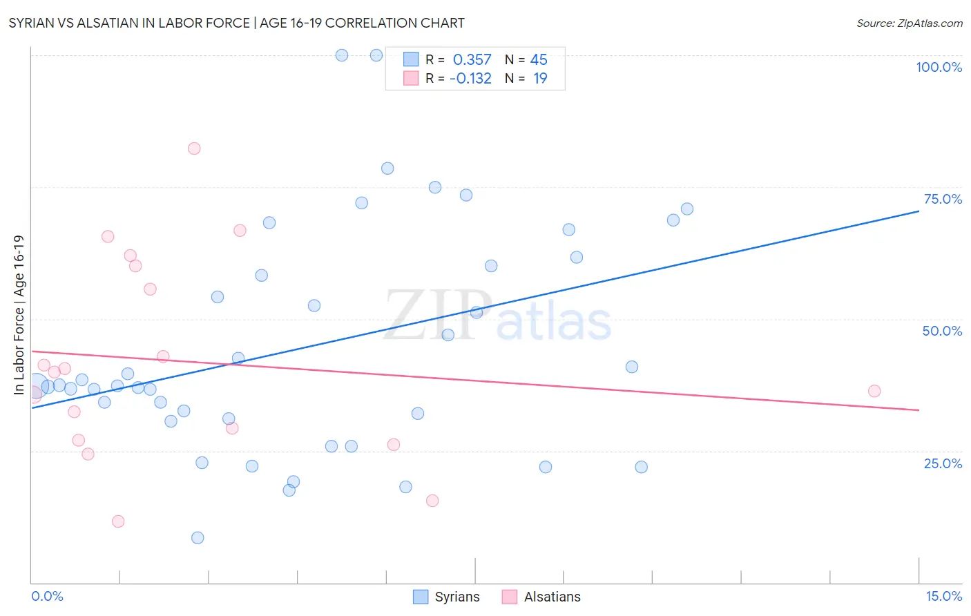 Syrian vs Alsatian In Labor Force | Age 16-19