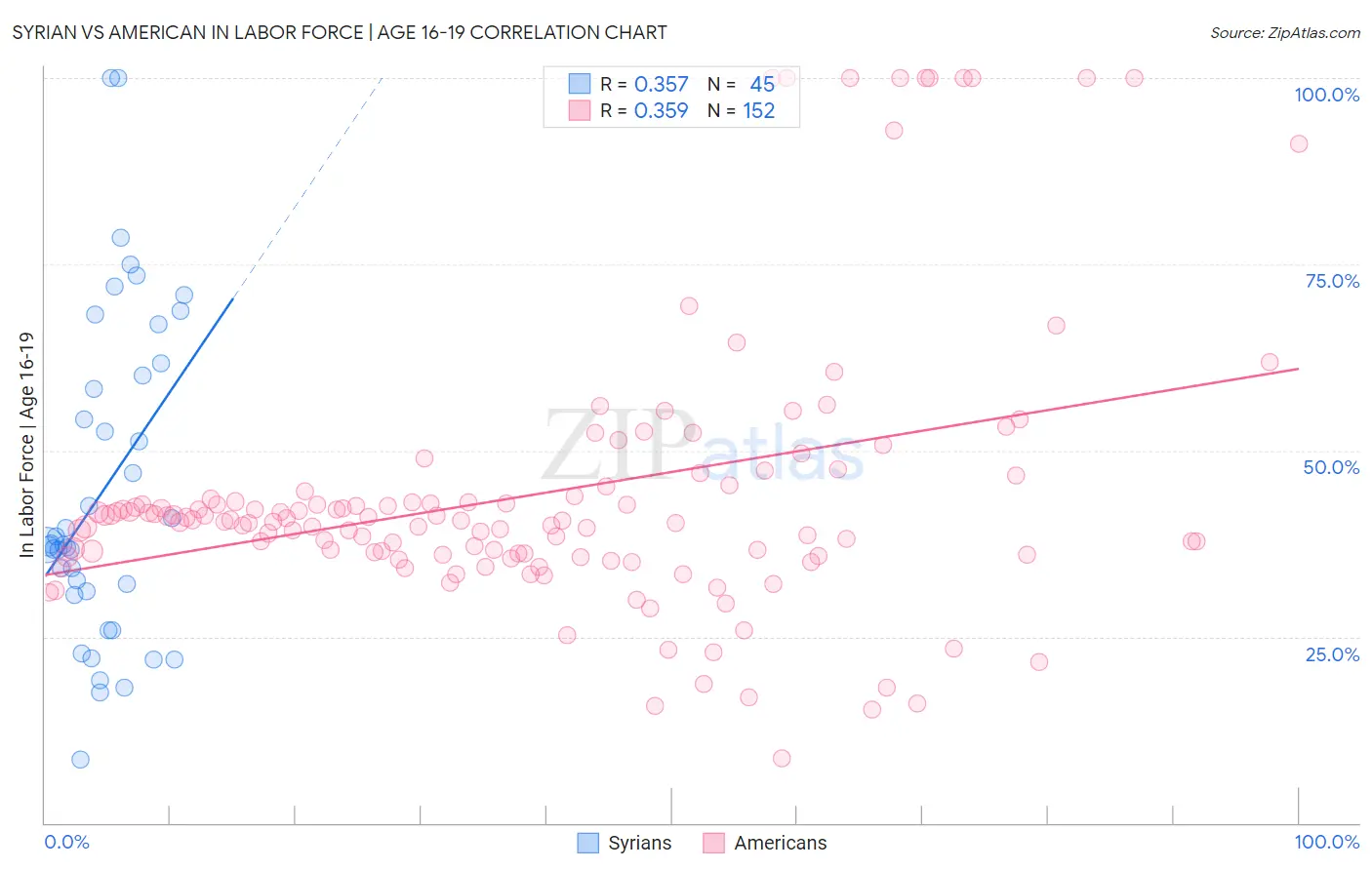 Syrian vs American In Labor Force | Age 16-19