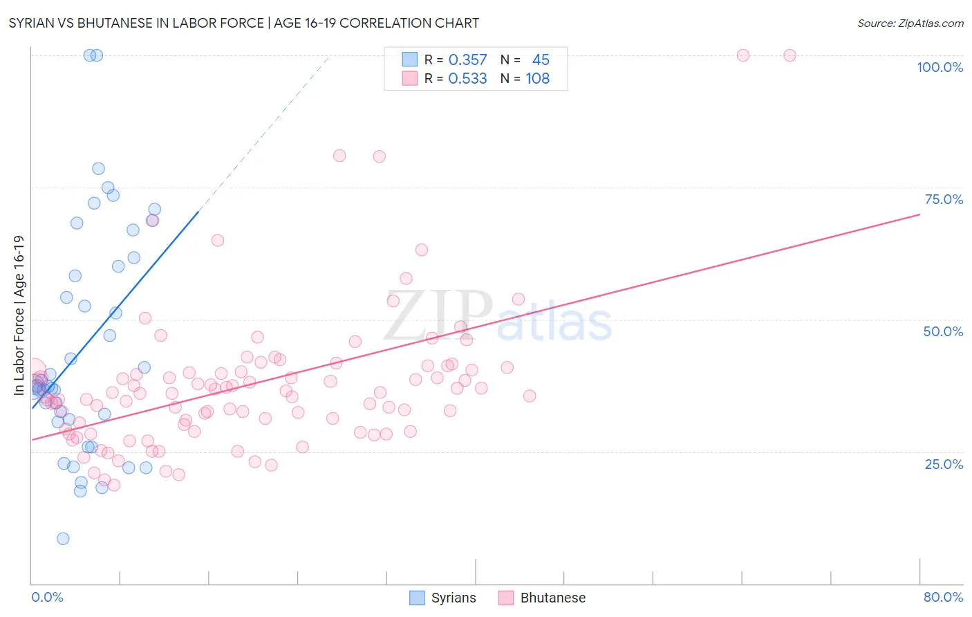 Syrian vs Bhutanese In Labor Force | Age 16-19