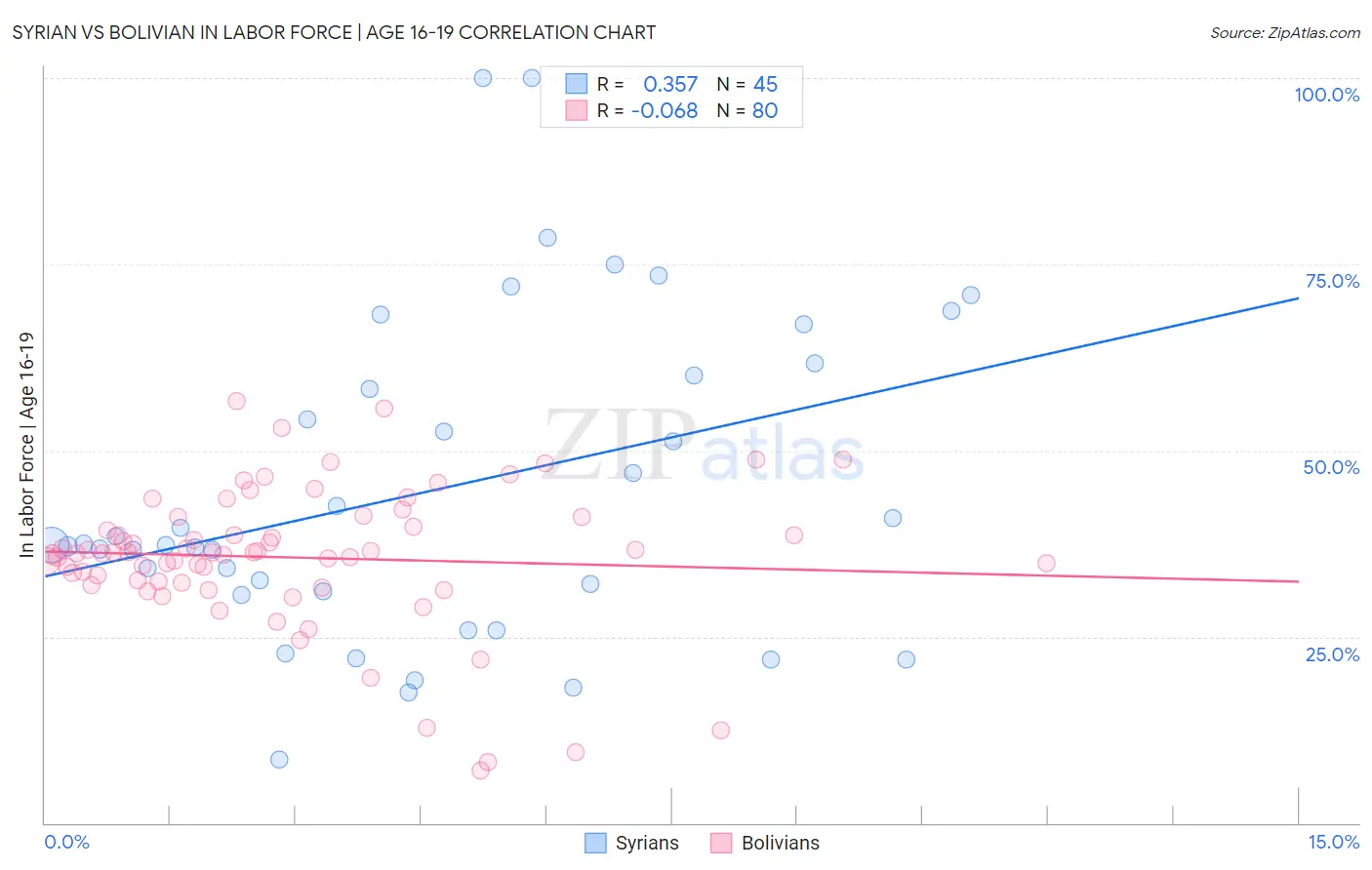 Syrian vs Bolivian In Labor Force | Age 16-19