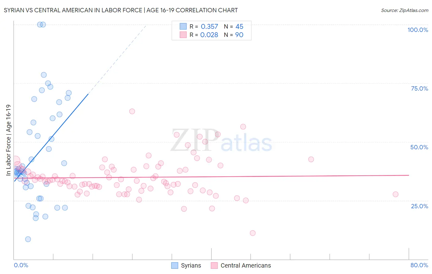 Syrian vs Central American In Labor Force | Age 16-19