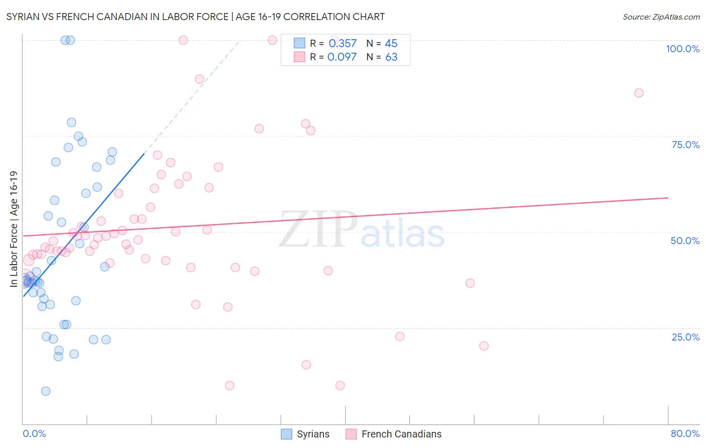 Syrian vs French Canadian In Labor Force | Age 16-19