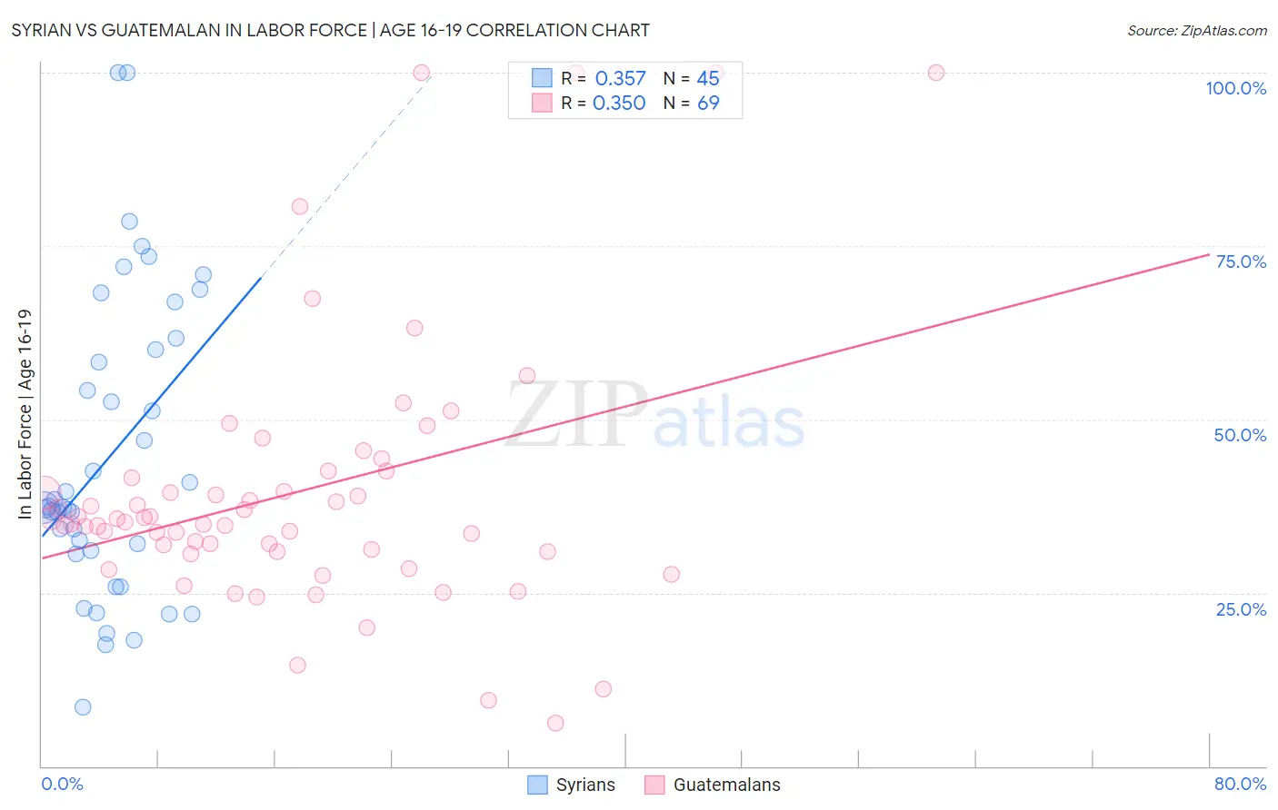 Syrian vs Guatemalan In Labor Force | Age 16-19