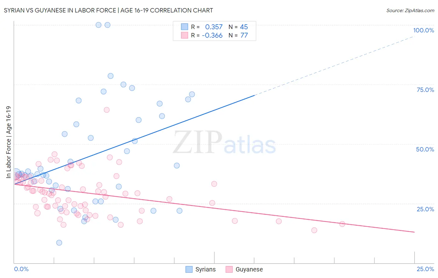 Syrian vs Guyanese In Labor Force | Age 16-19