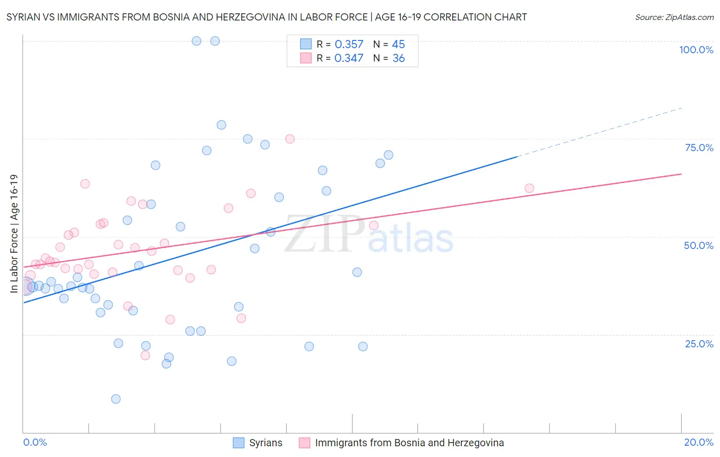 Syrian vs Immigrants from Bosnia and Herzegovina In Labor Force | Age 16-19