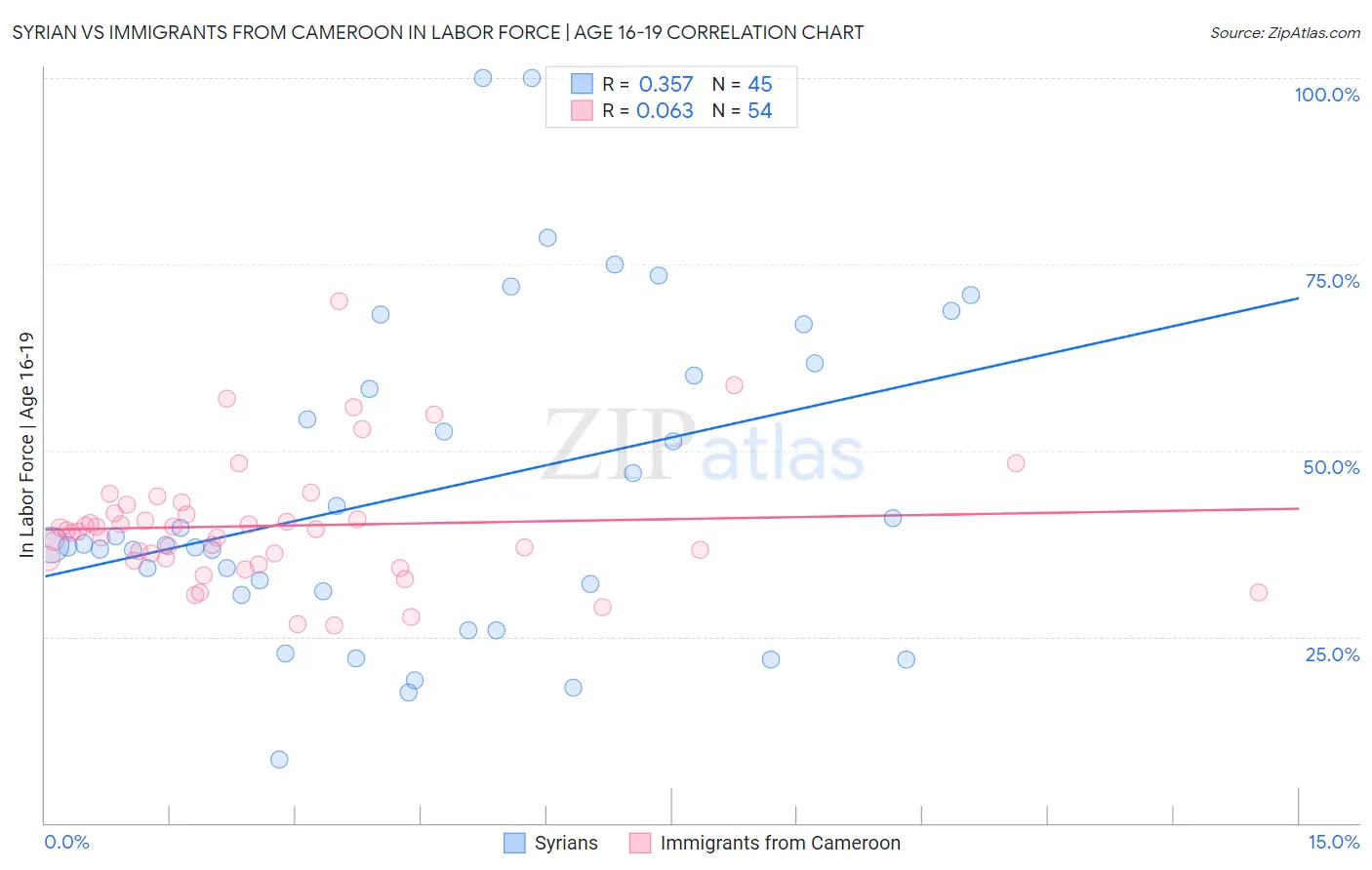 Syrian vs Immigrants from Cameroon In Labor Force | Age 16-19