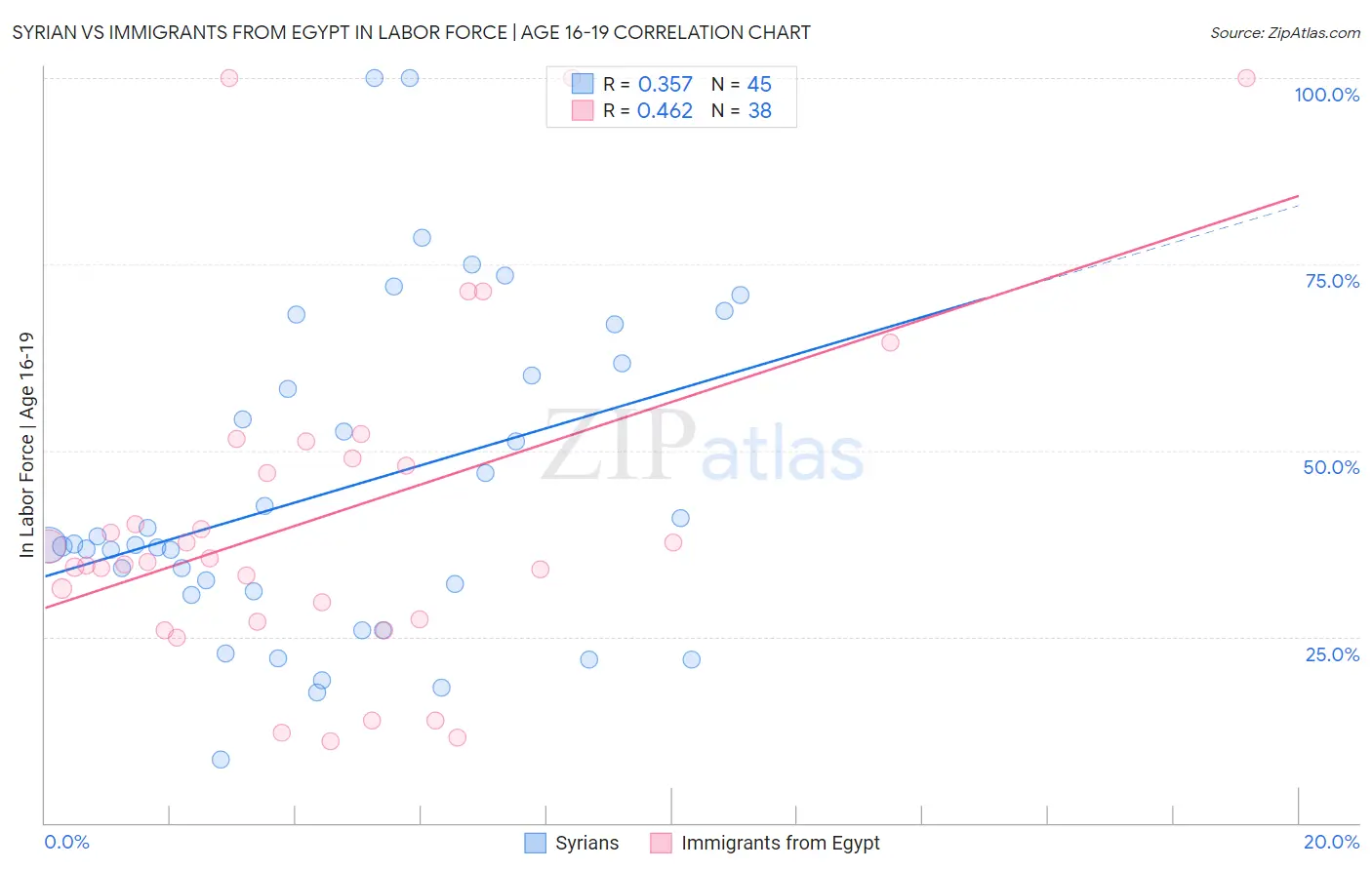 Syrian vs Immigrants from Egypt In Labor Force | Age 16-19