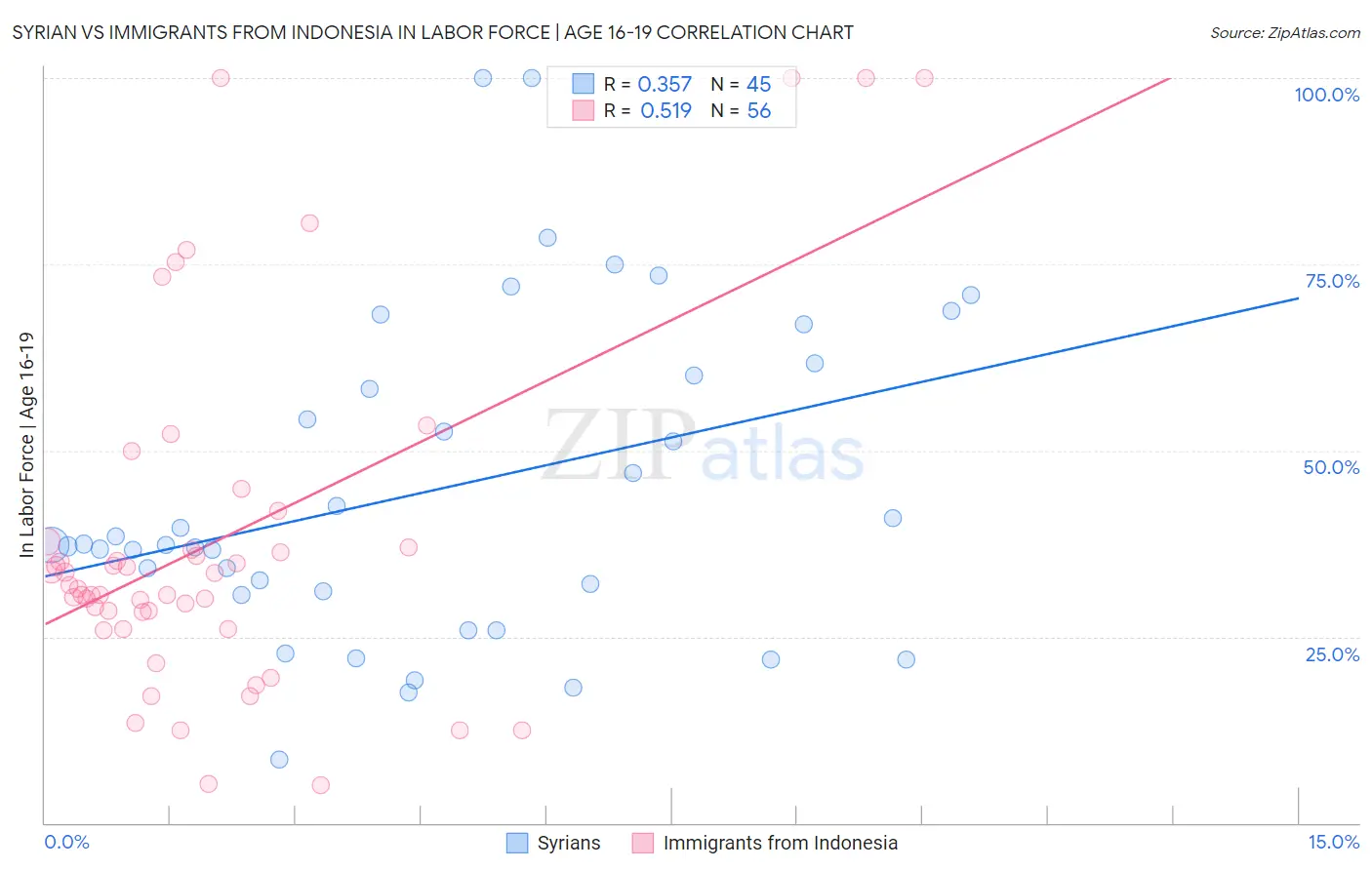 Syrian vs Immigrants from Indonesia In Labor Force | Age 16-19