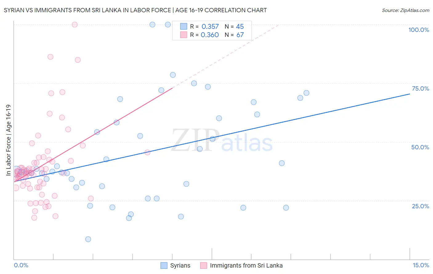 Syrian vs Immigrants from Sri Lanka In Labor Force | Age 16-19