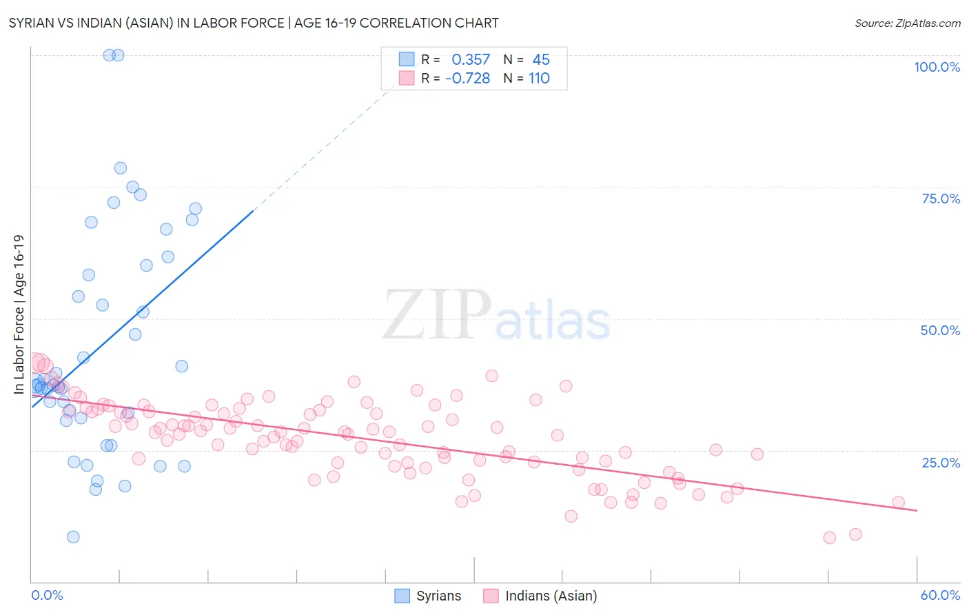Syrian vs Indian (Asian) In Labor Force | Age 16-19