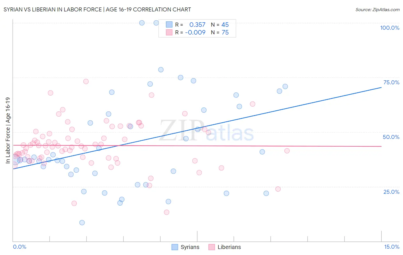 Syrian vs Liberian In Labor Force | Age 16-19