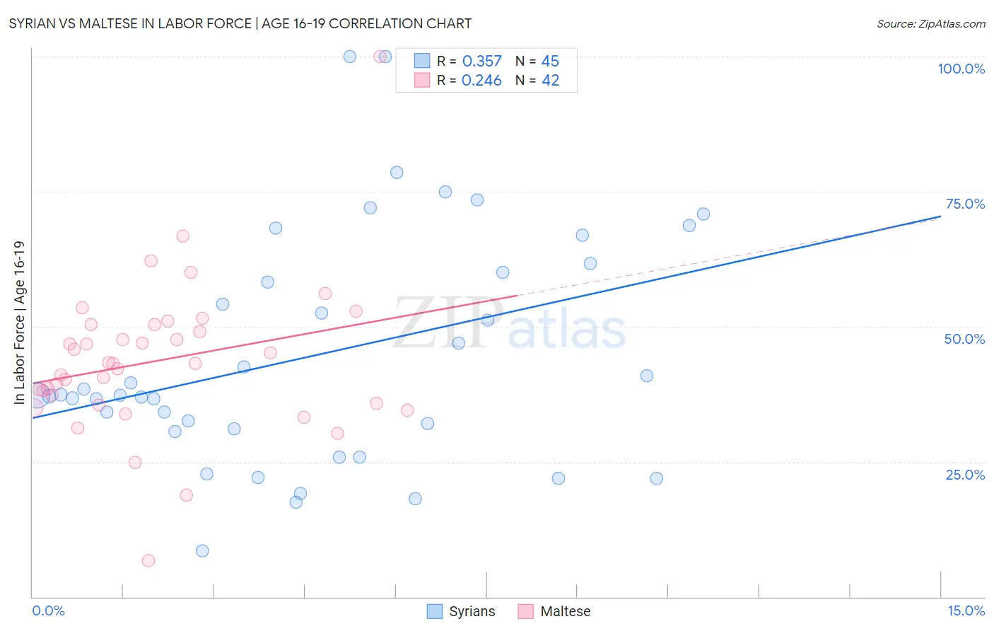 Syrian vs Maltese In Labor Force | Age 16-19