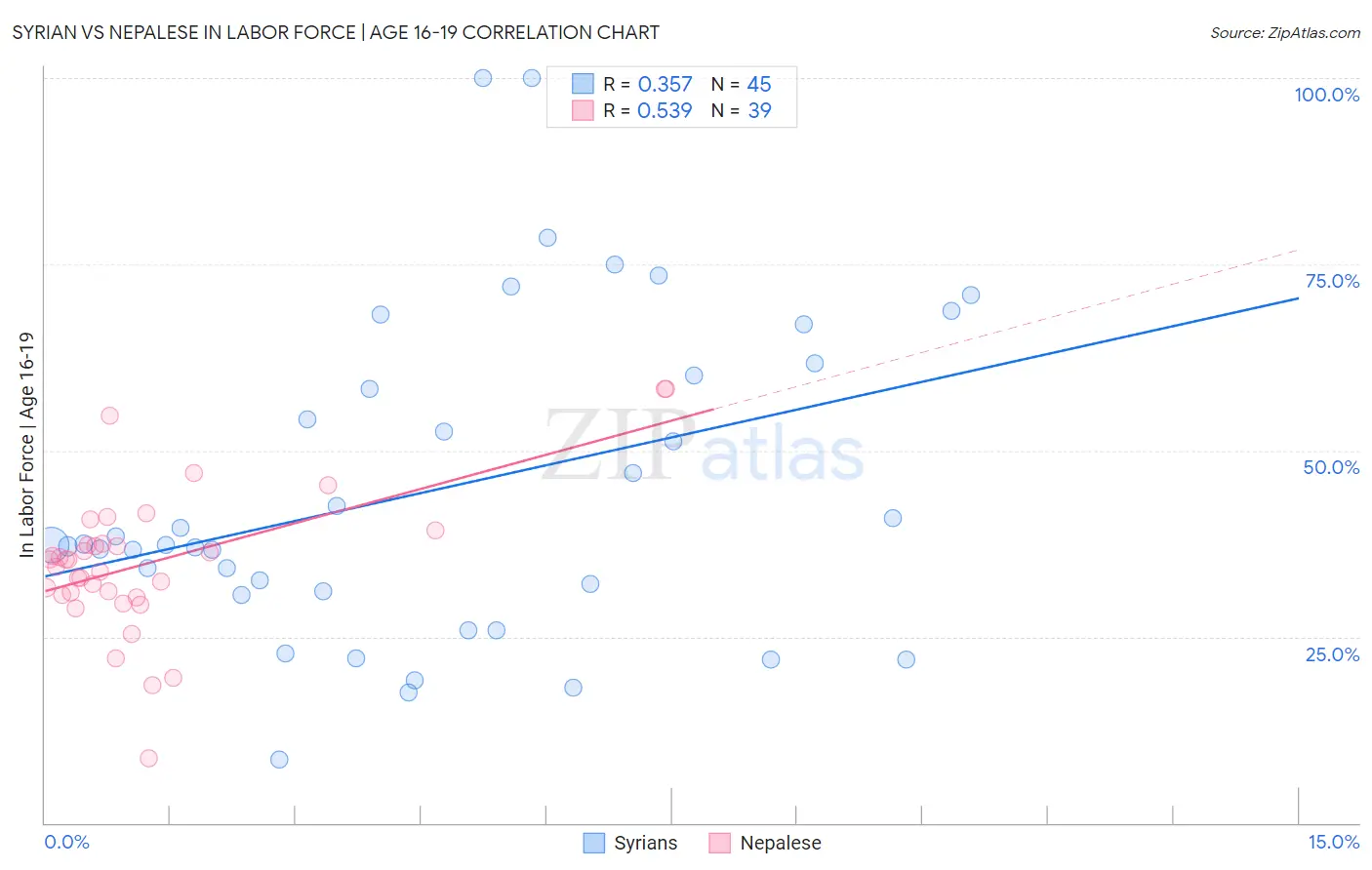 Syrian vs Nepalese In Labor Force | Age 16-19