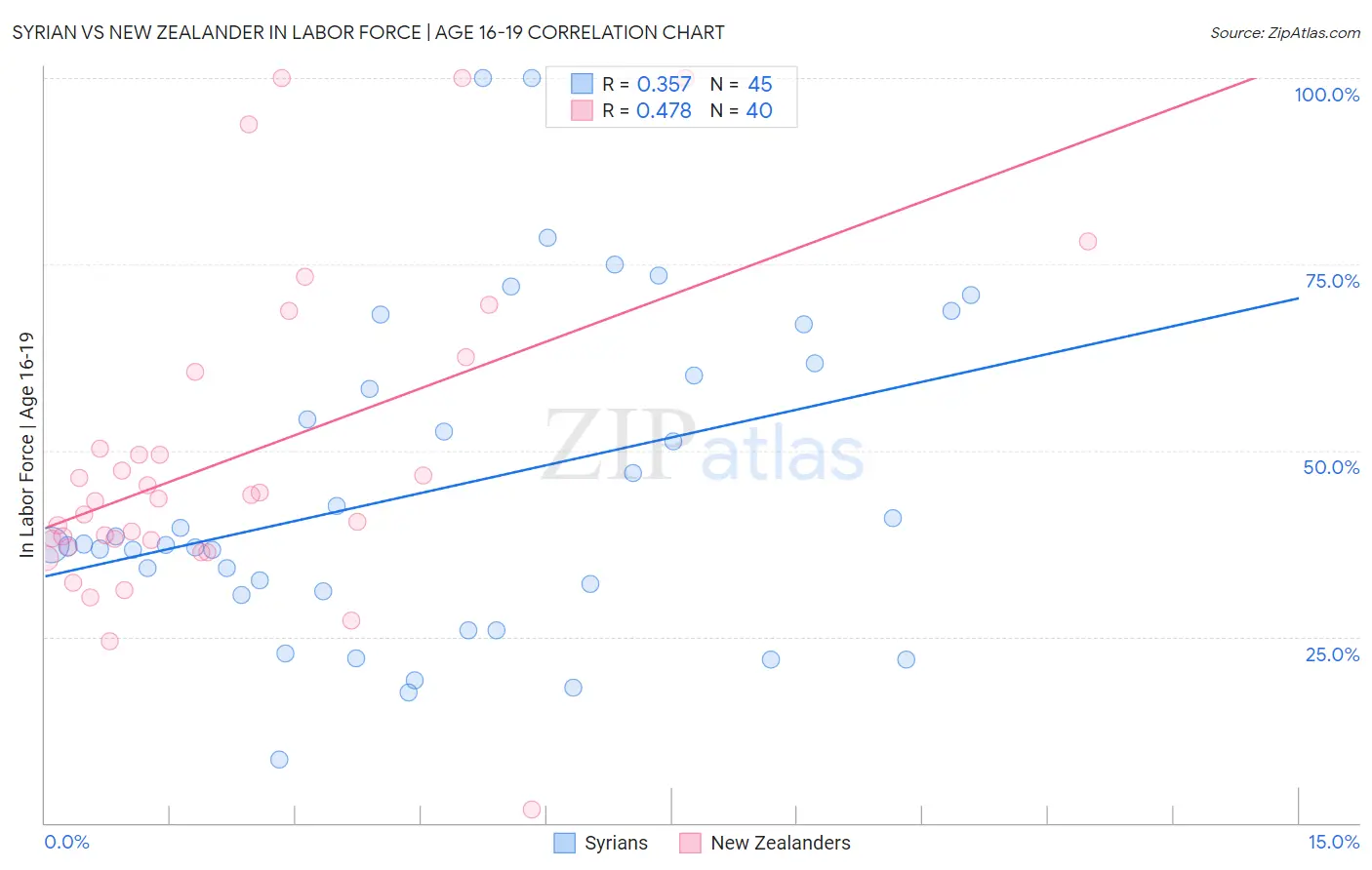 Syrian vs New Zealander In Labor Force | Age 16-19