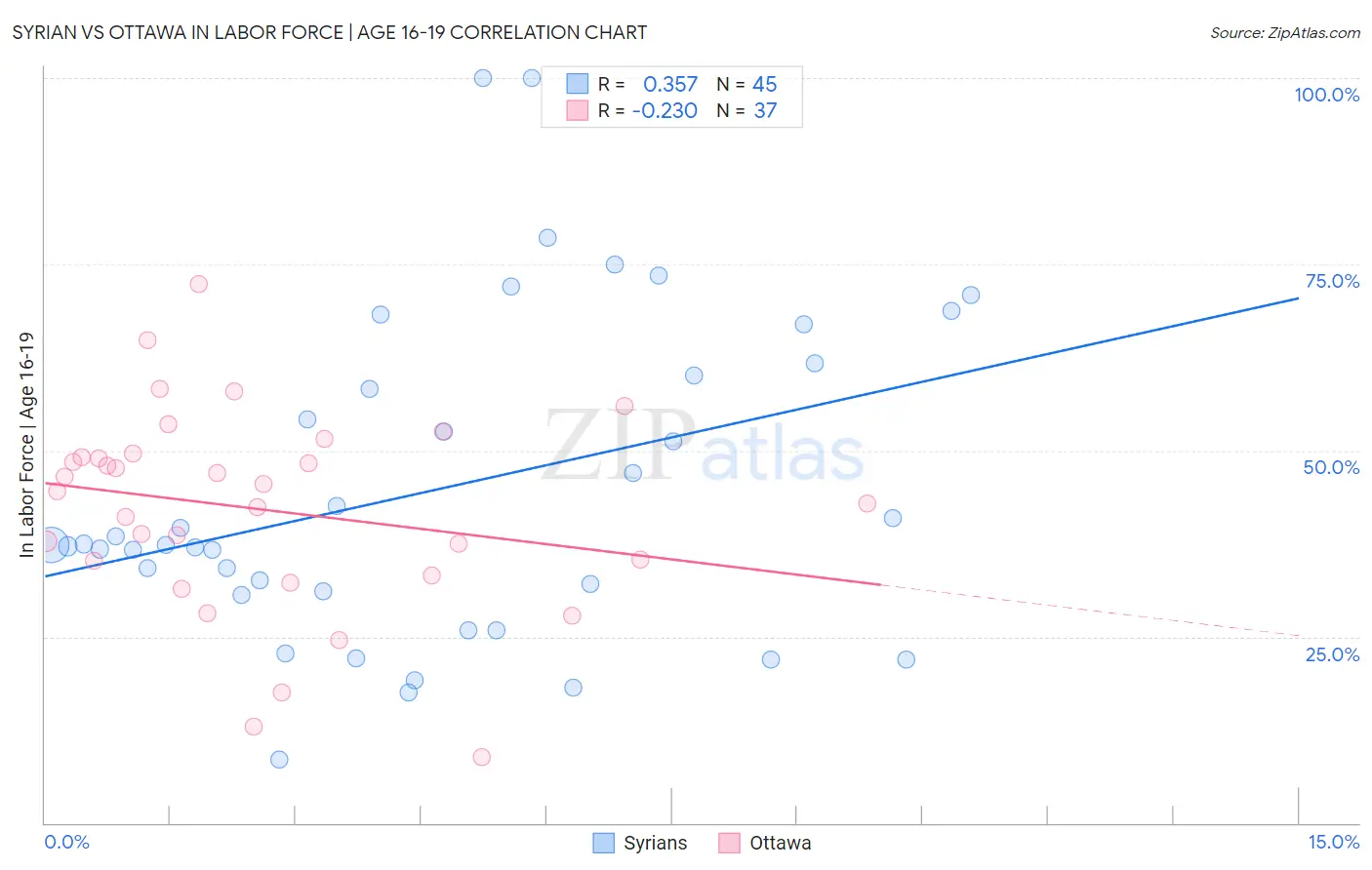 Syrian vs Ottawa In Labor Force | Age 16-19