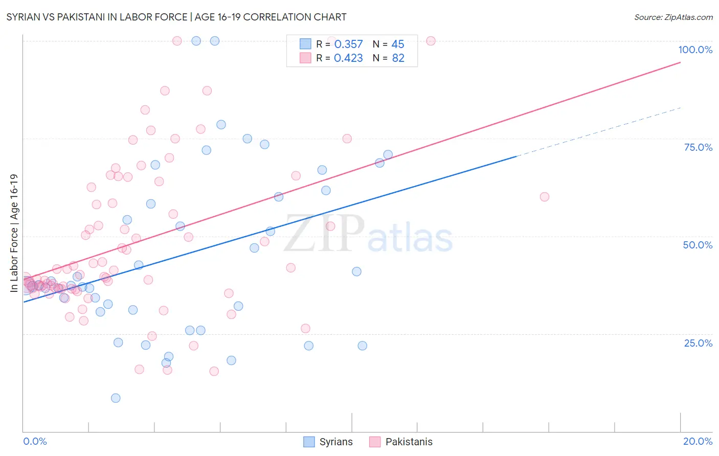 Syrian vs Pakistani In Labor Force | Age 16-19