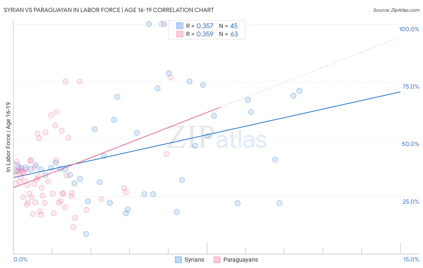 Syrian vs Paraguayan In Labor Force | Age 16-19