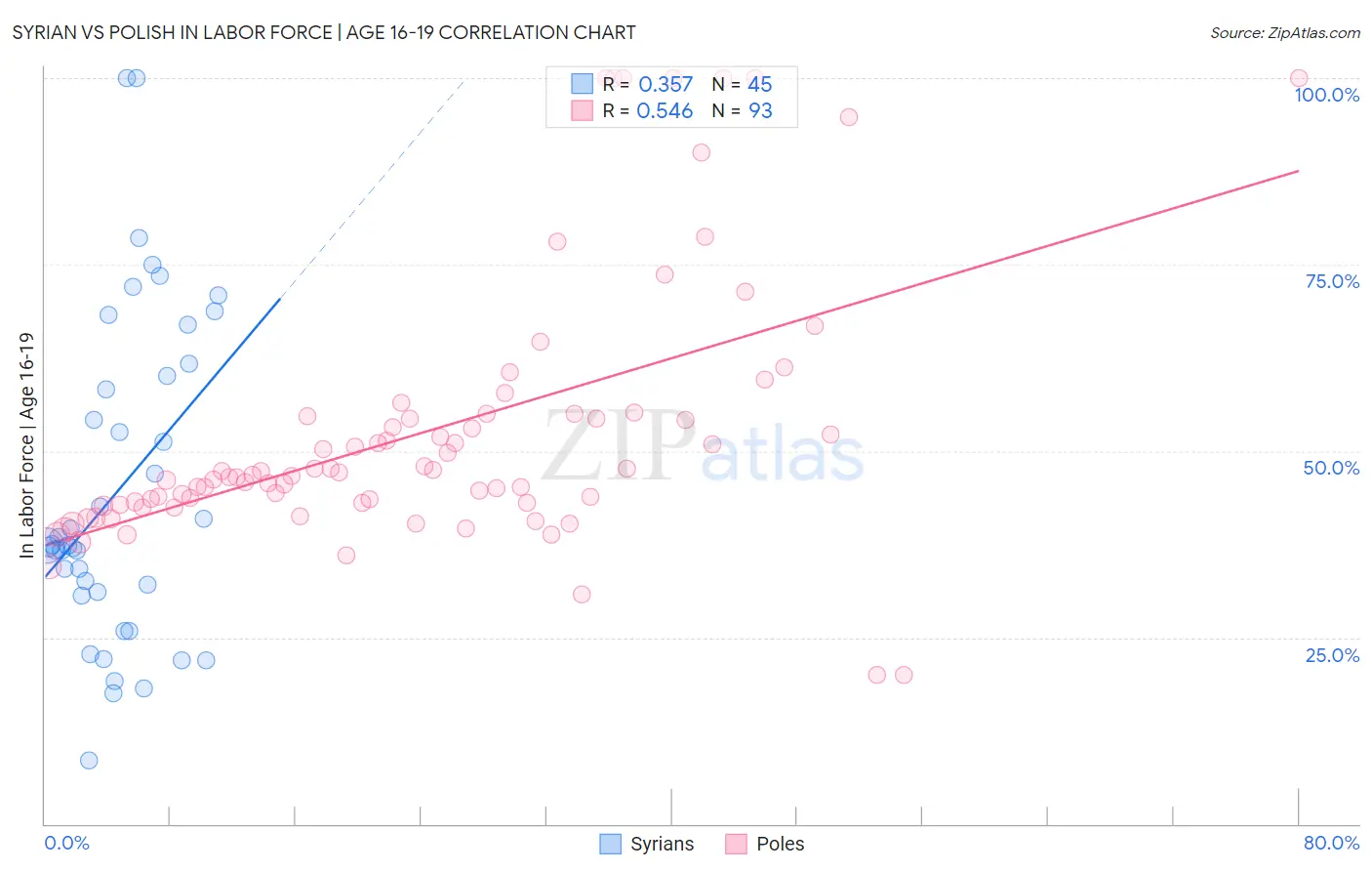 Syrian vs Polish In Labor Force | Age 16-19