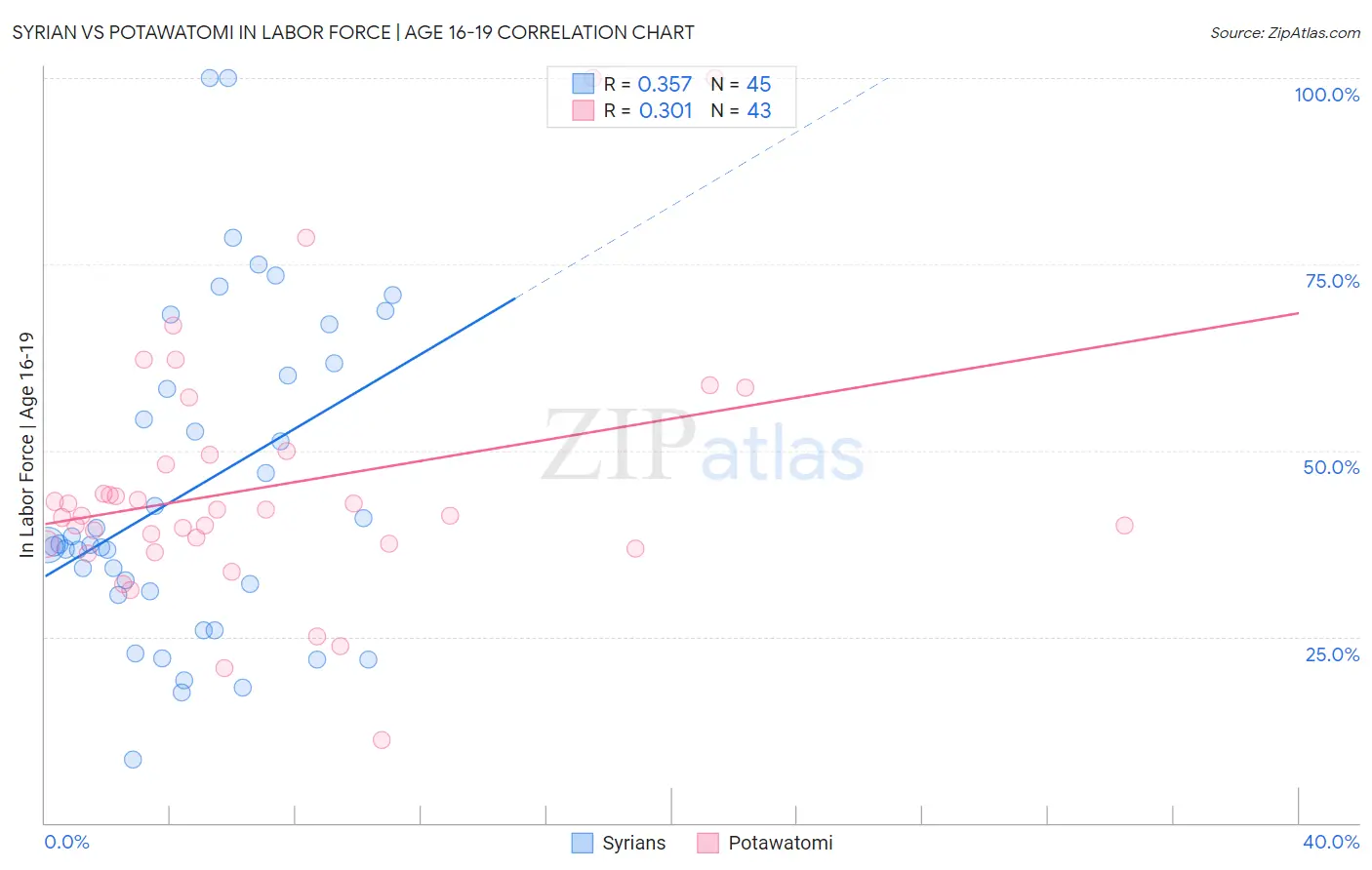 Syrian vs Potawatomi In Labor Force | Age 16-19