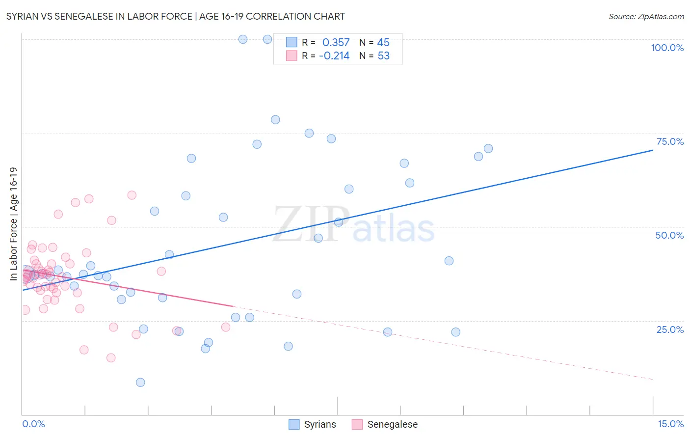 Syrian vs Senegalese In Labor Force | Age 16-19