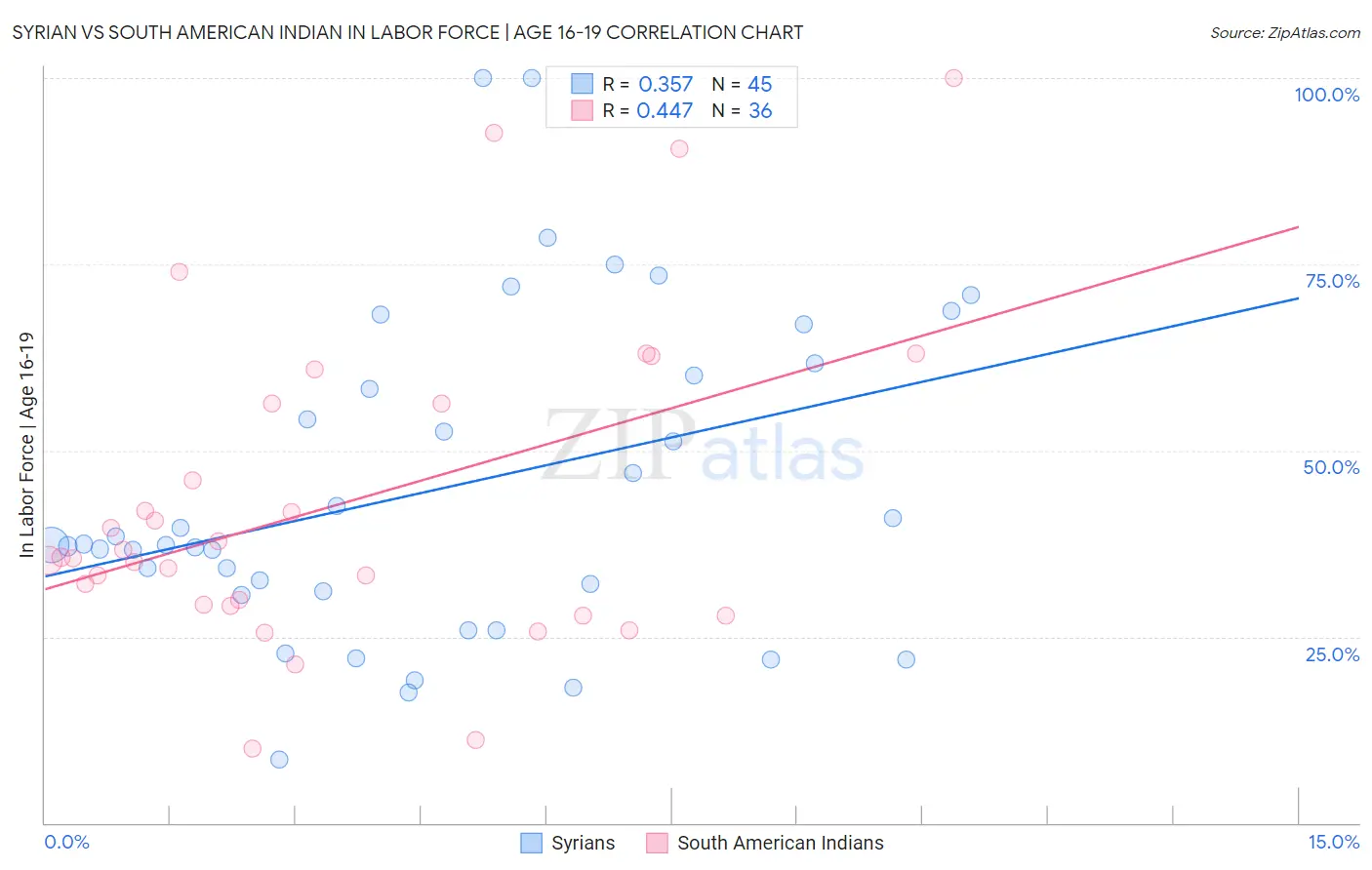 Syrian vs South American Indian In Labor Force | Age 16-19