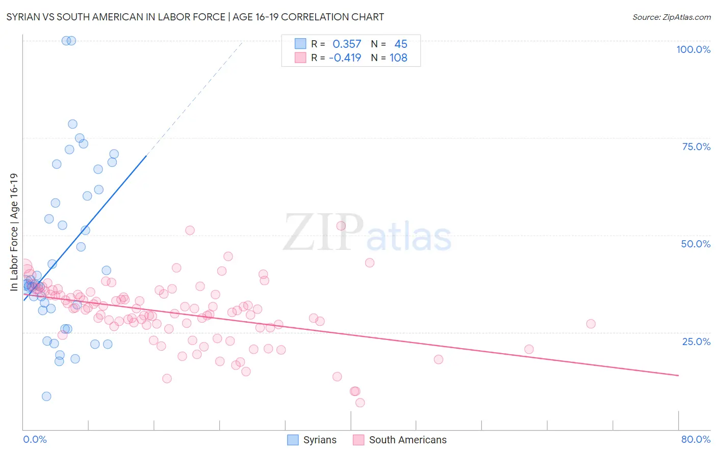 Syrian vs South American In Labor Force | Age 16-19