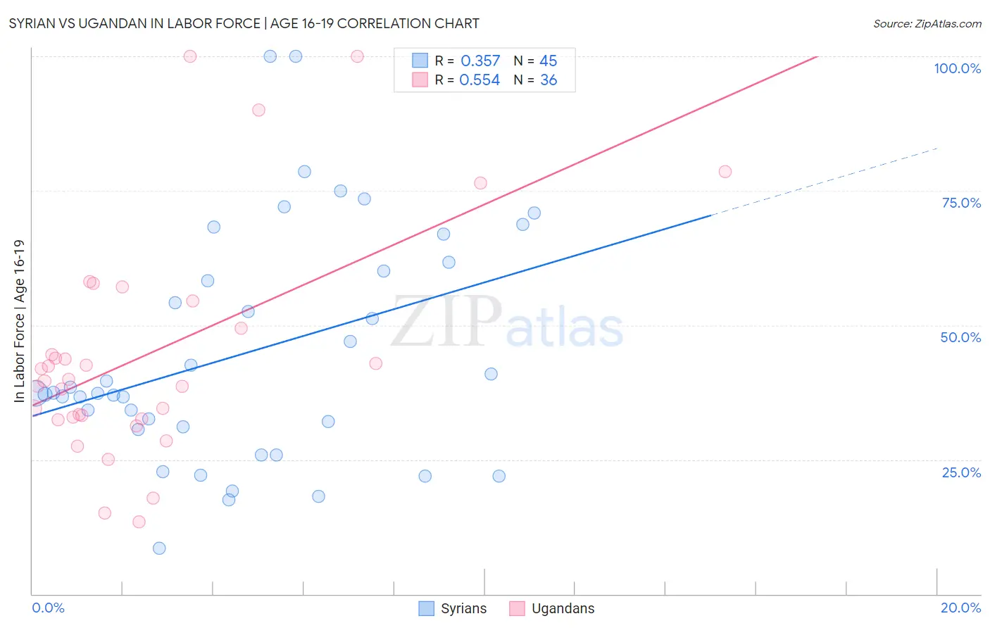 Syrian vs Ugandan In Labor Force | Age 16-19