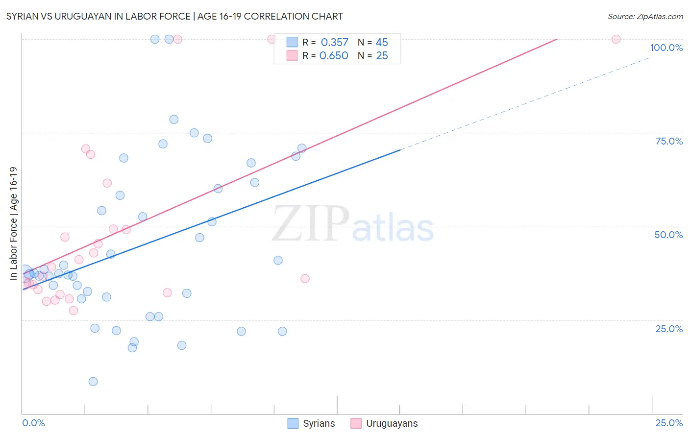 Syrian vs Uruguayan In Labor Force | Age 16-19