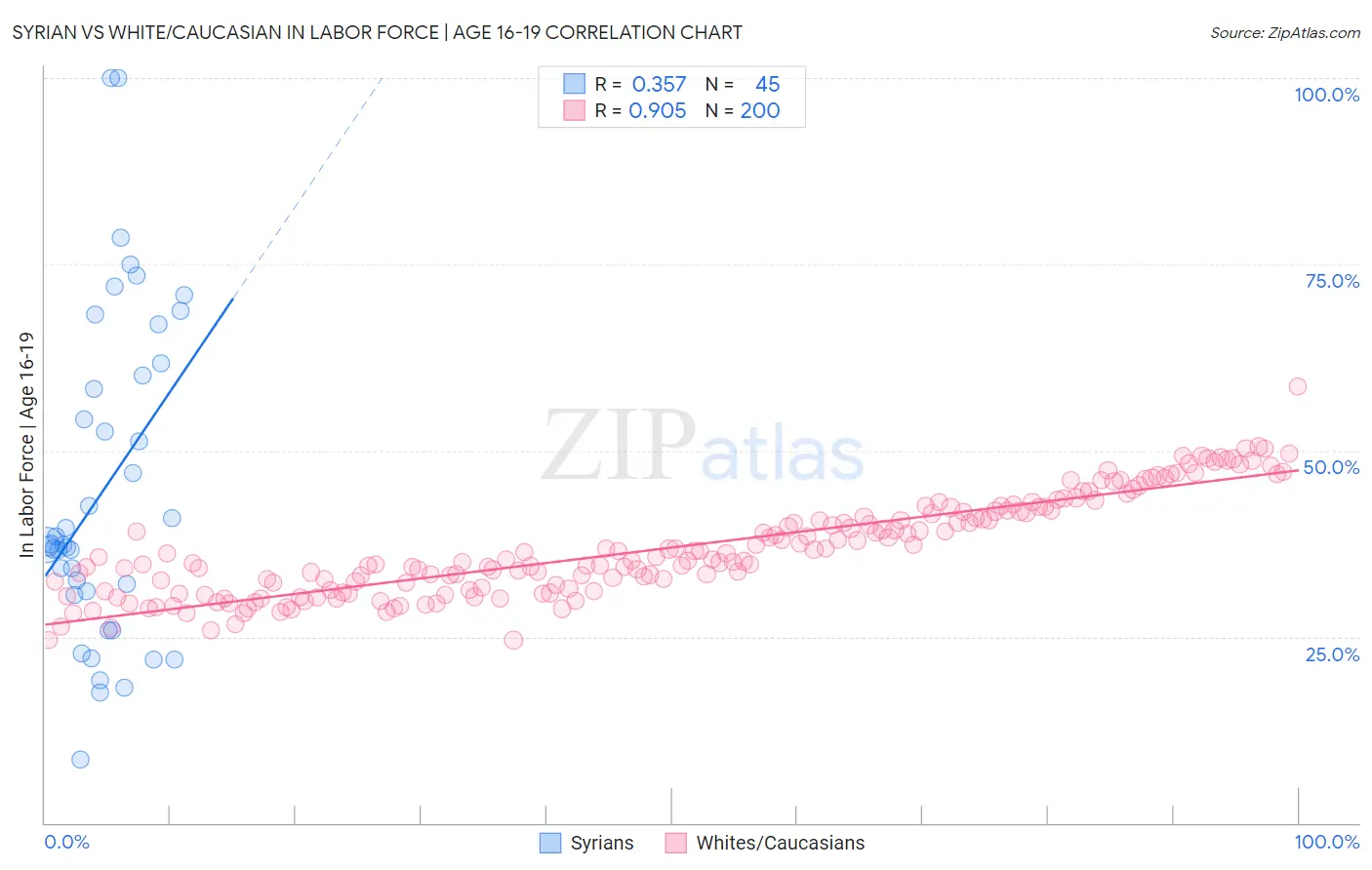 Syrian vs White/Caucasian In Labor Force | Age 16-19