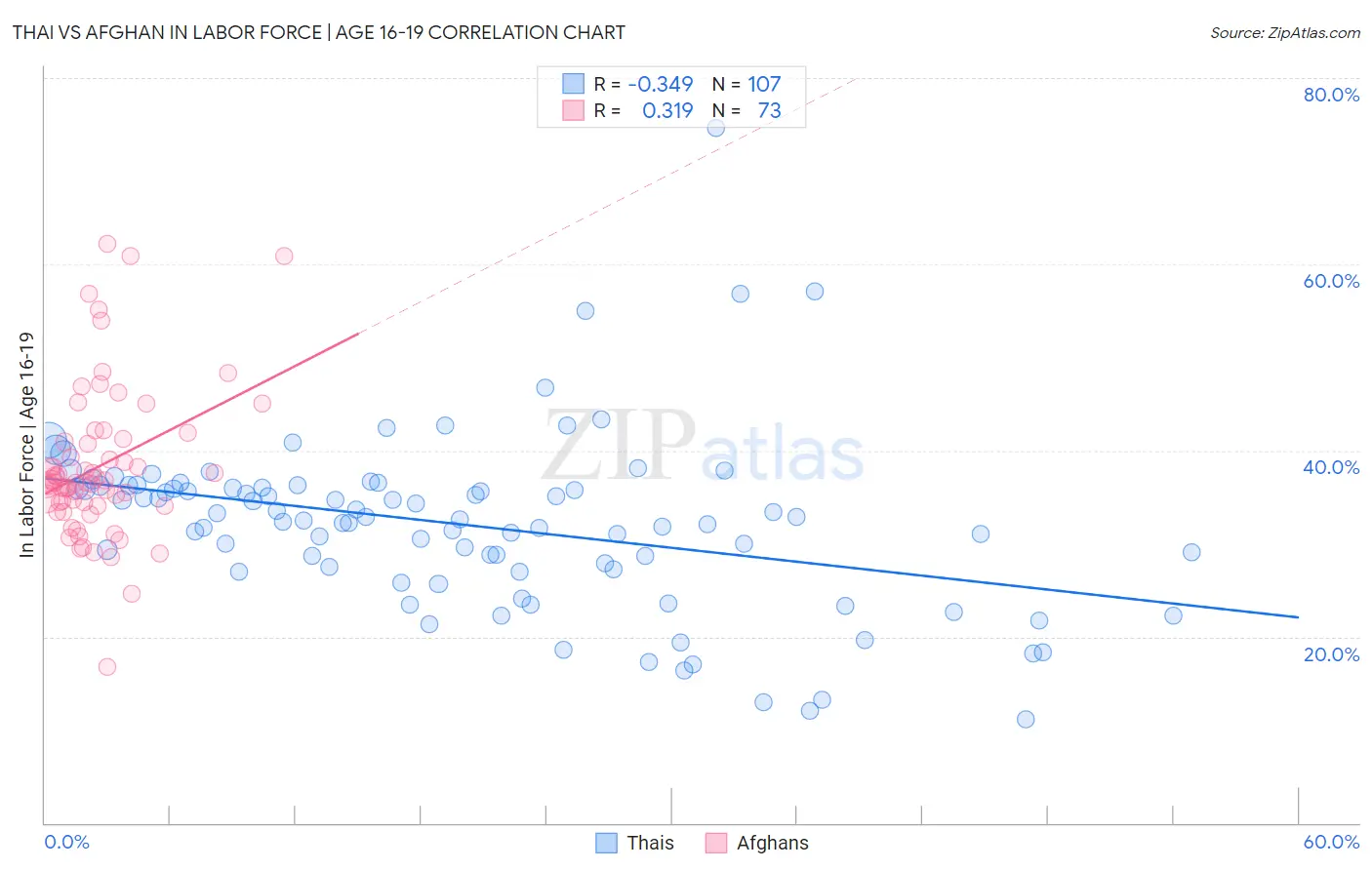 Thai vs Afghan In Labor Force | Age 16-19