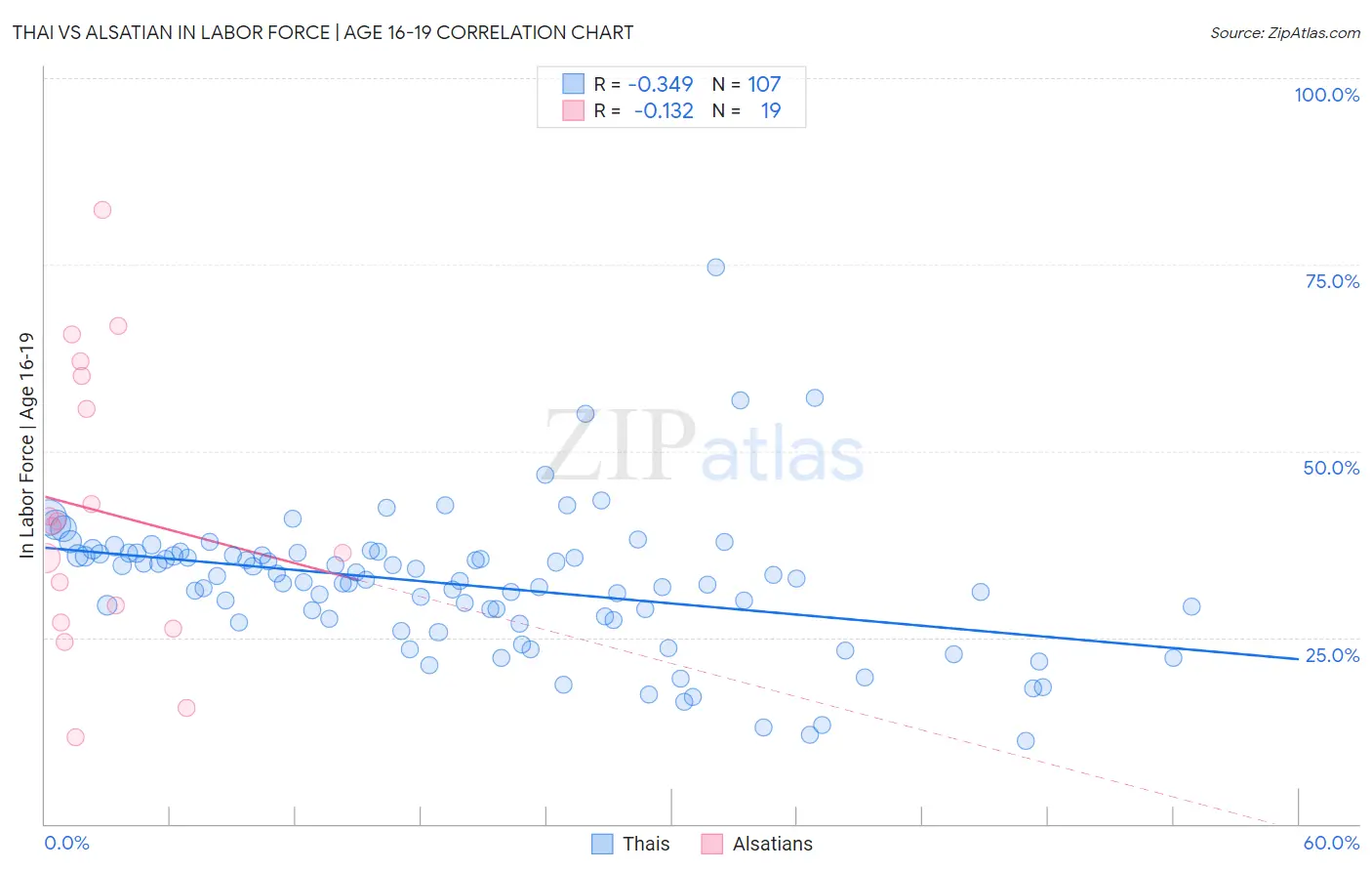 Thai vs Alsatian In Labor Force | Age 16-19