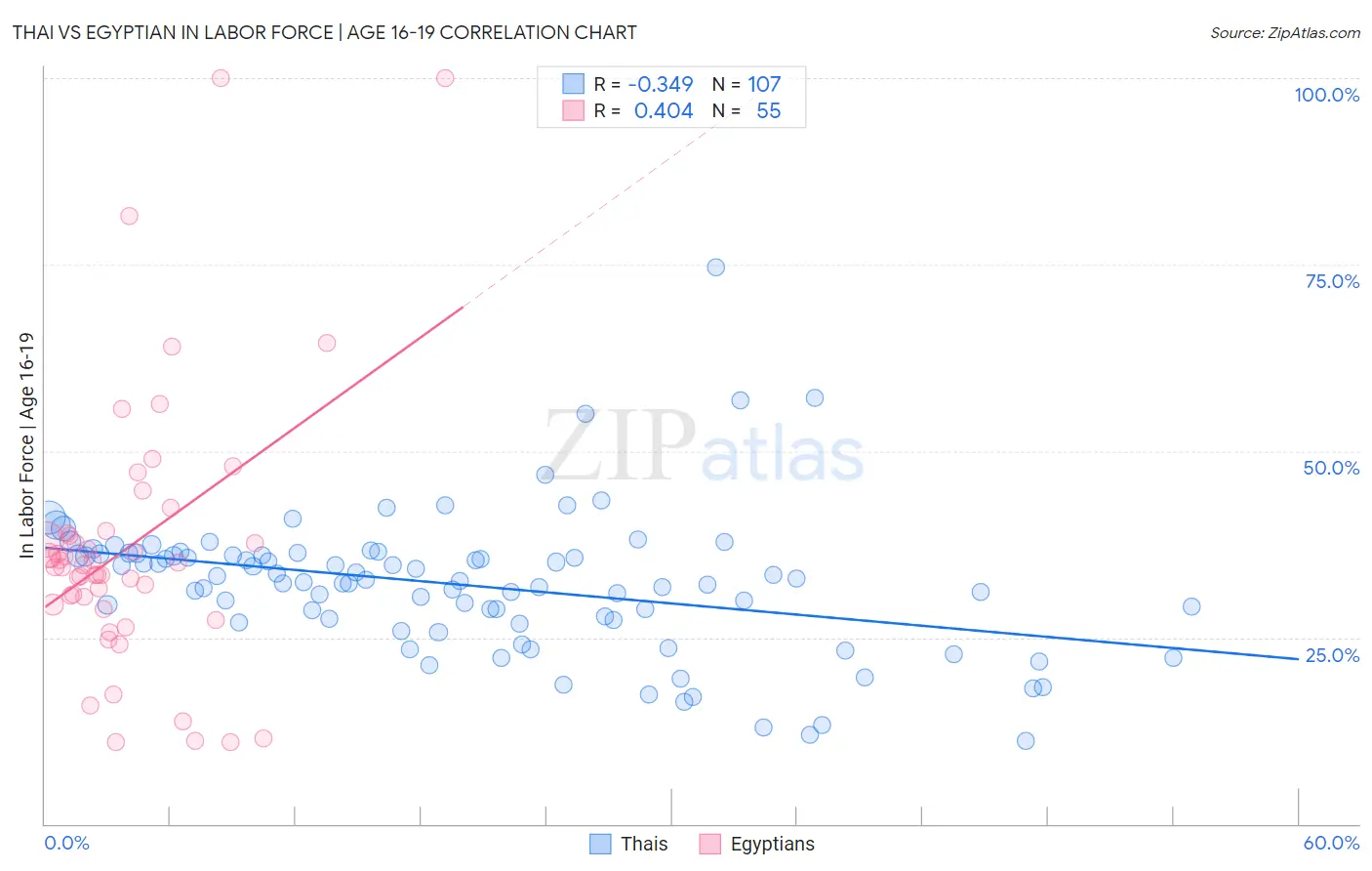 Thai vs Egyptian In Labor Force | Age 16-19