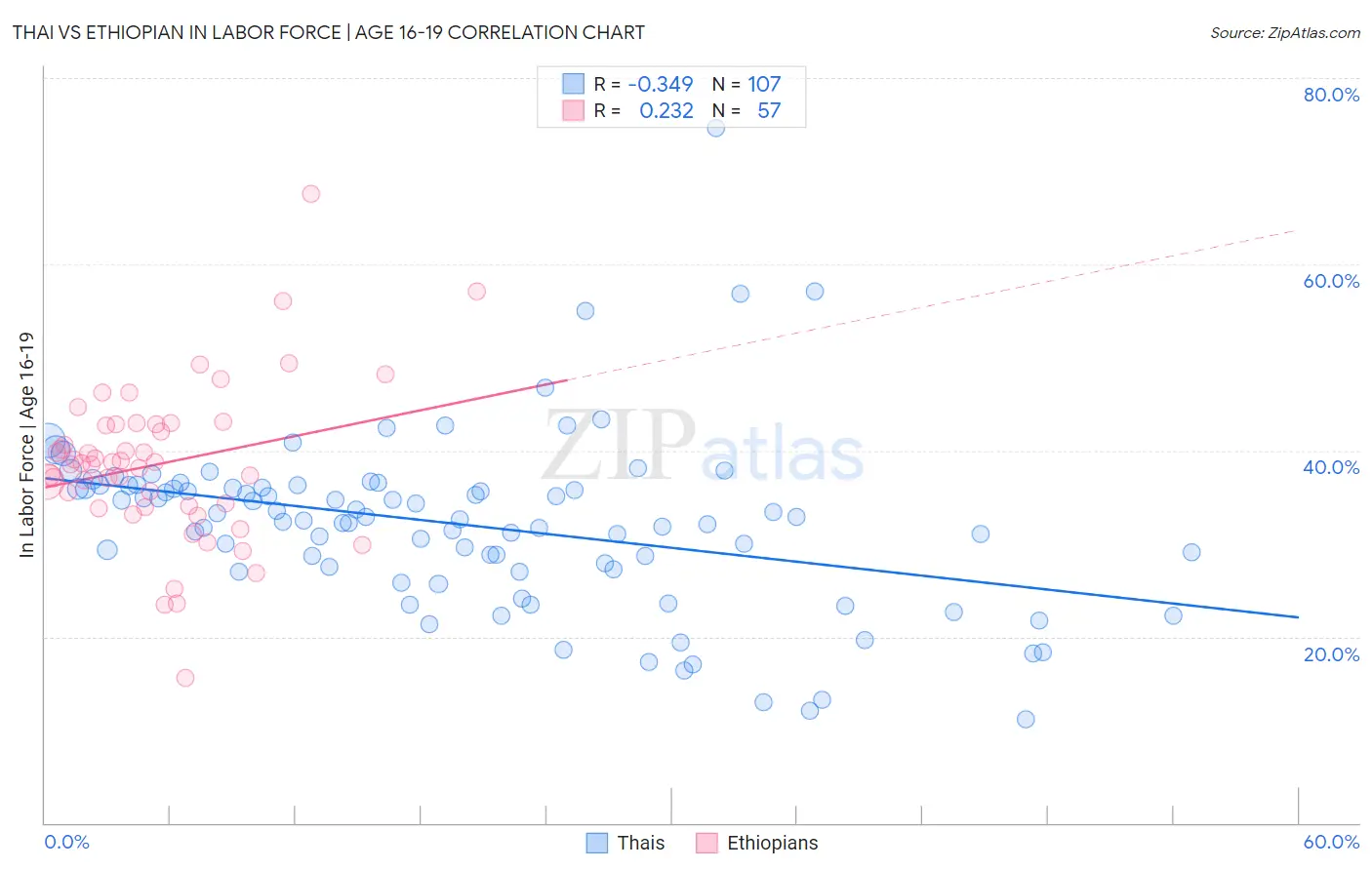 Thai vs Ethiopian In Labor Force | Age 16-19