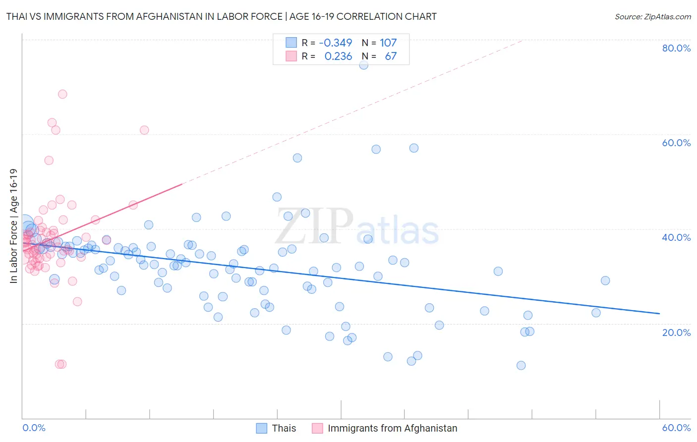 Thai vs Immigrants from Afghanistan In Labor Force | Age 16-19