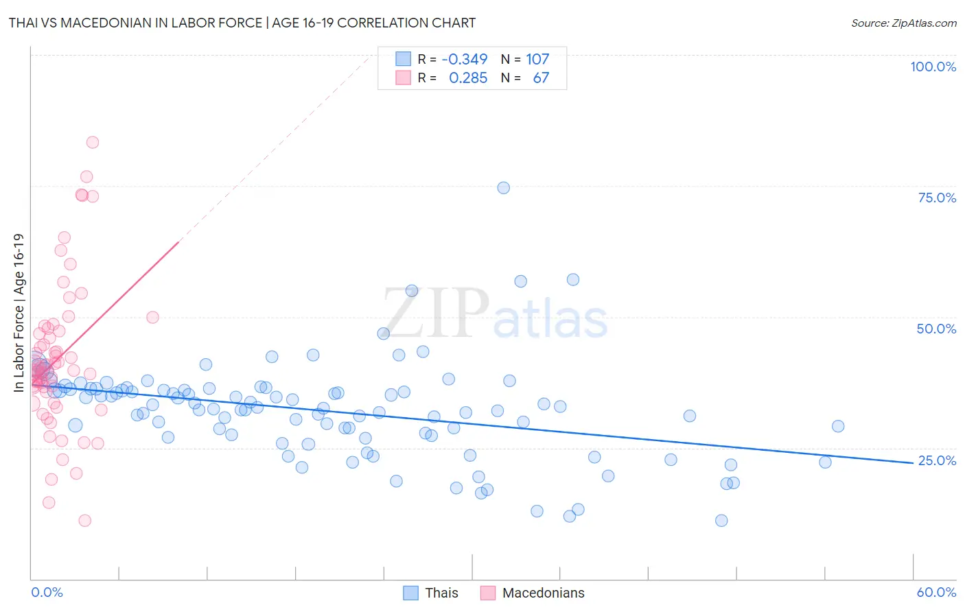 Thai vs Macedonian In Labor Force | Age 16-19