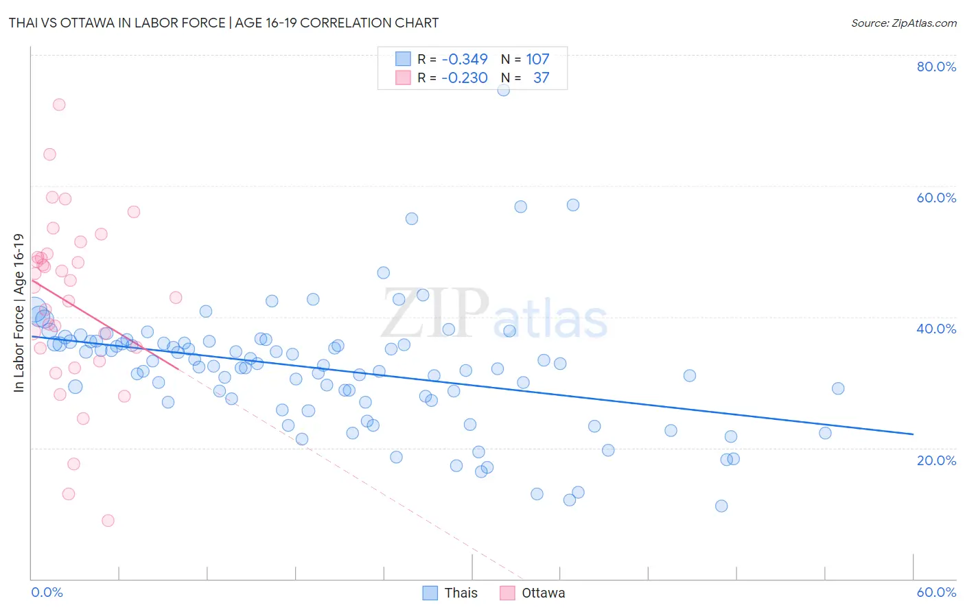 Thai vs Ottawa In Labor Force | Age 16-19