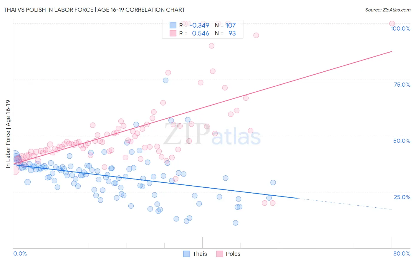 Thai vs Polish In Labor Force | Age 16-19