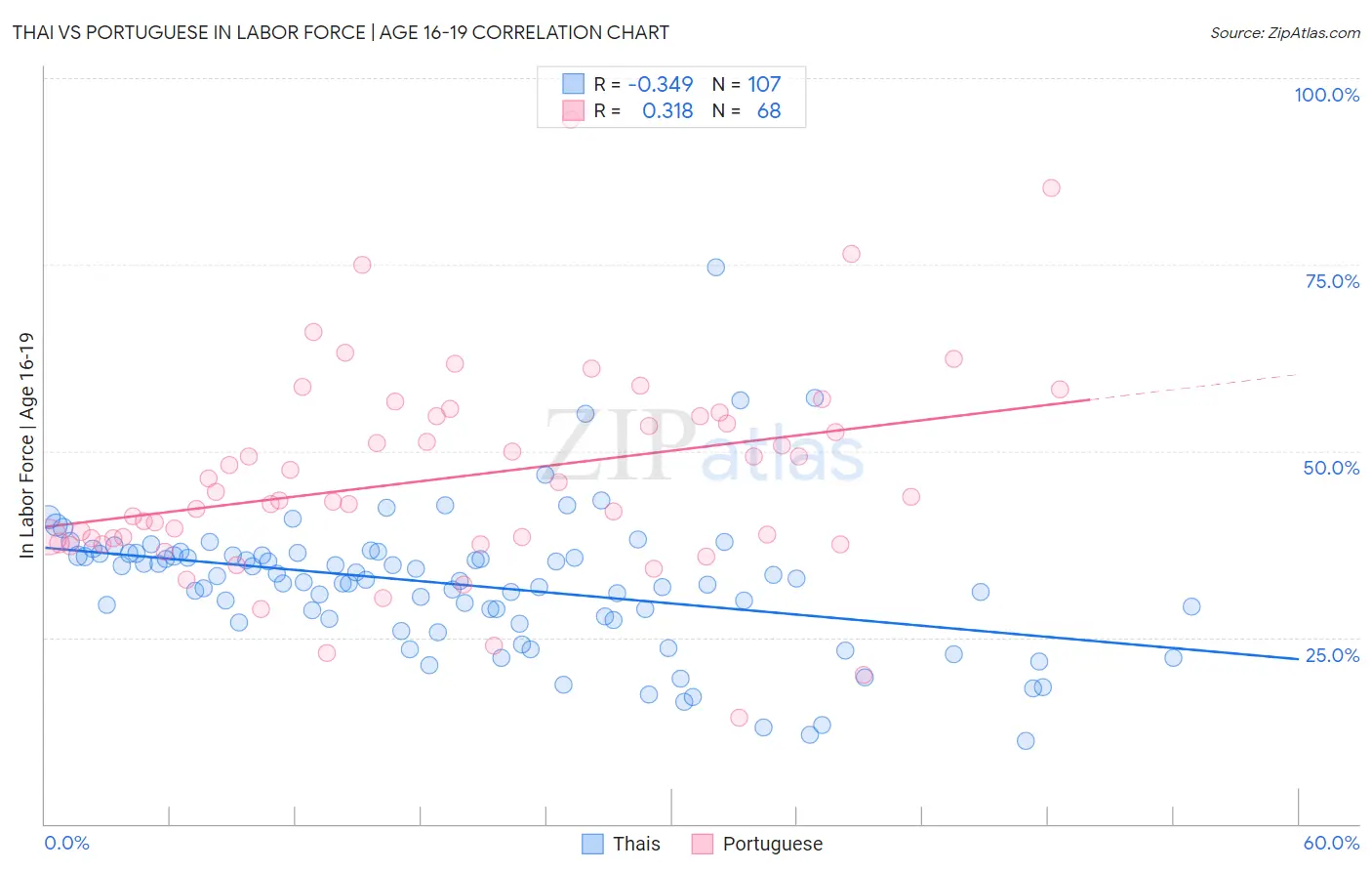 Thai vs Portuguese In Labor Force | Age 16-19