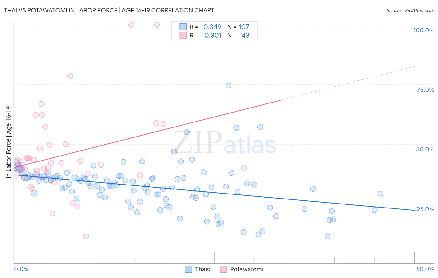 Thai vs Potawatomi In Labor Force | Age 16-19