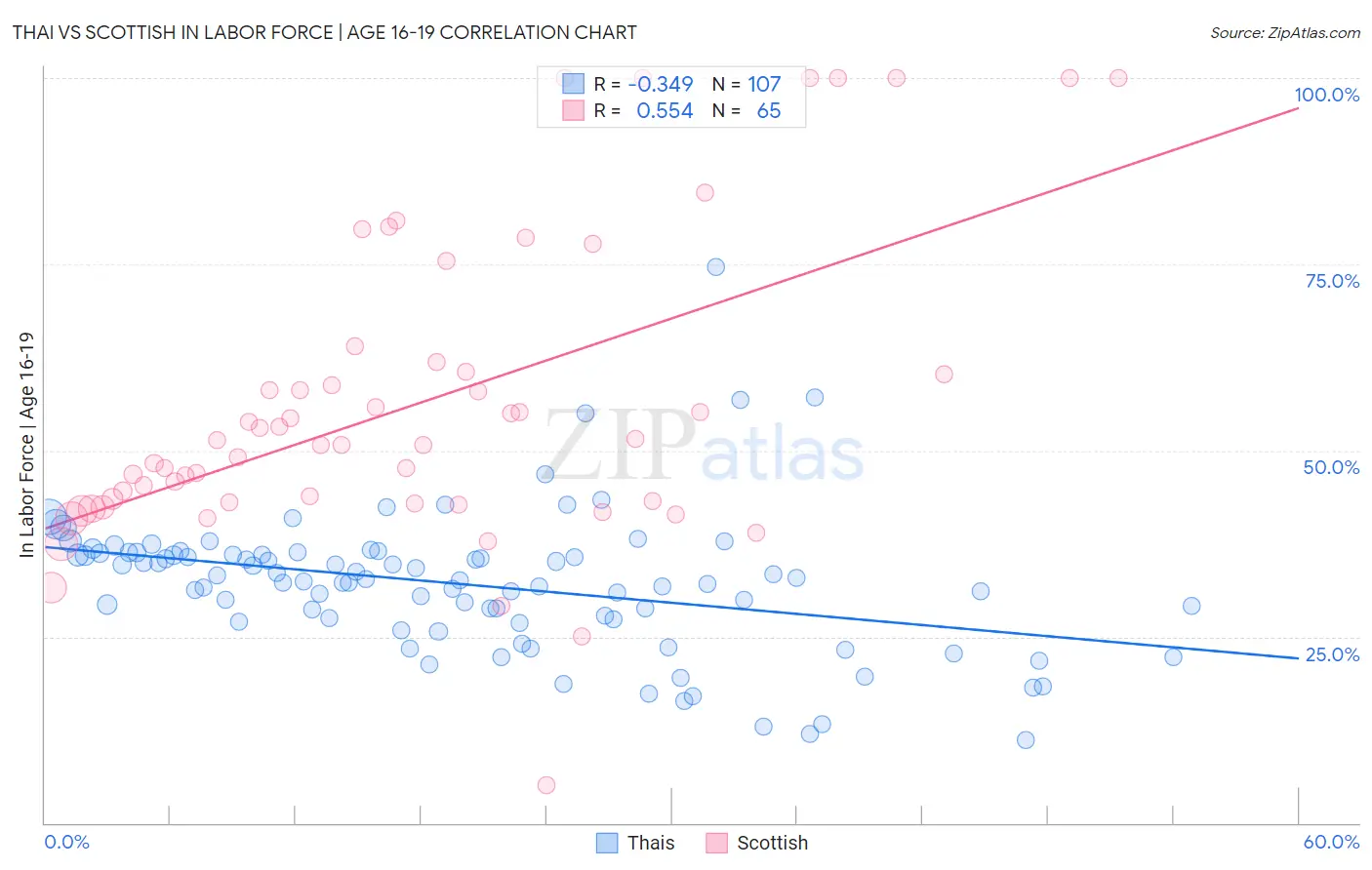 Thai vs Scottish In Labor Force | Age 16-19