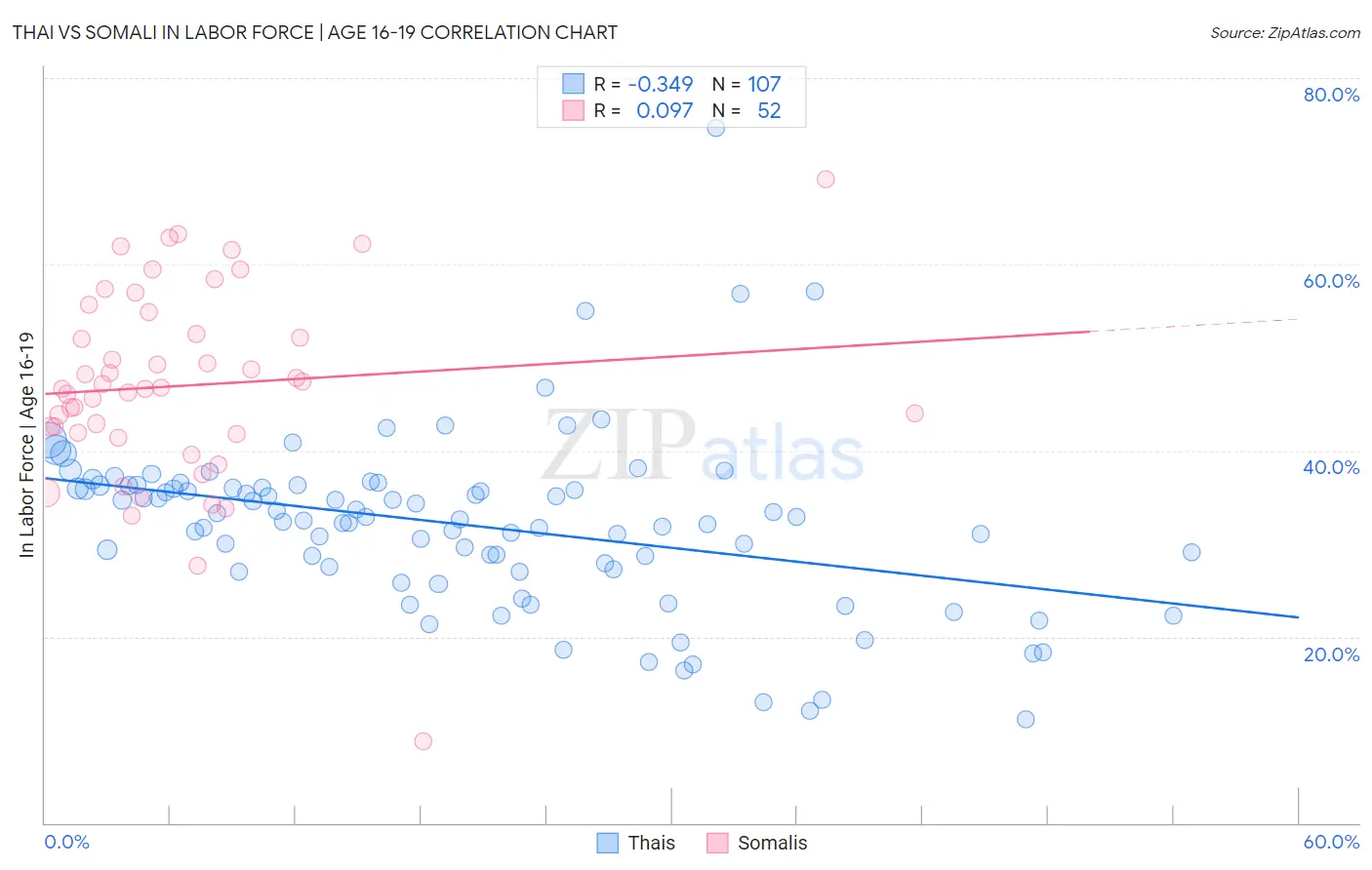 Thai vs Somali In Labor Force | Age 16-19