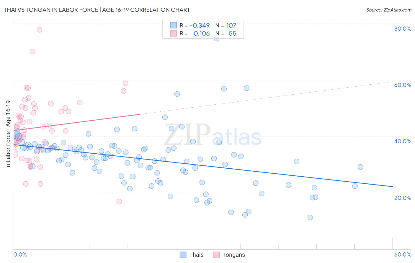 Thai vs Tongan In Labor Force | Age 16-19