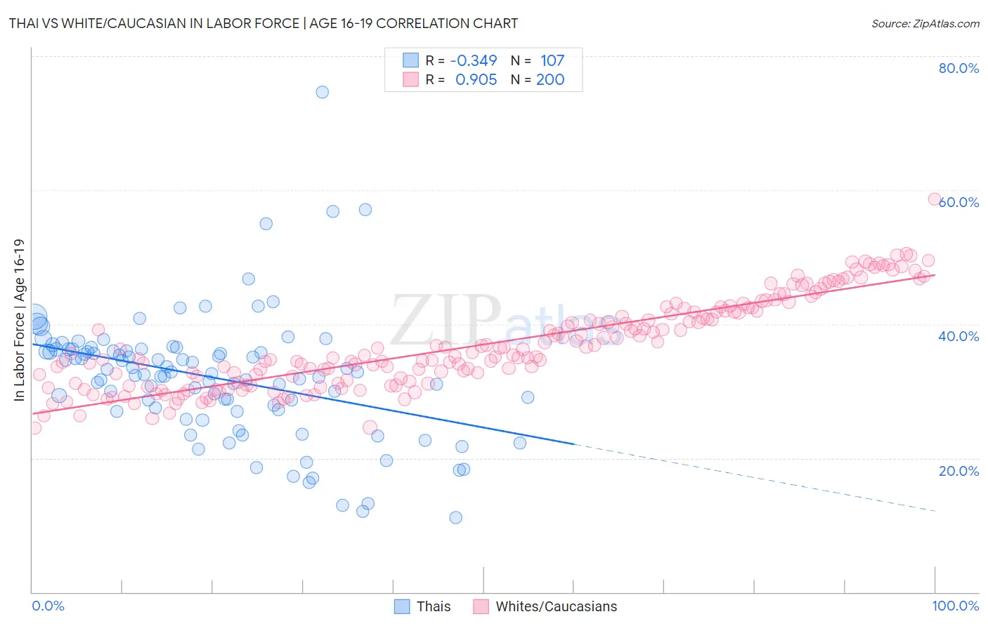 Thai vs White/Caucasian In Labor Force | Age 16-19