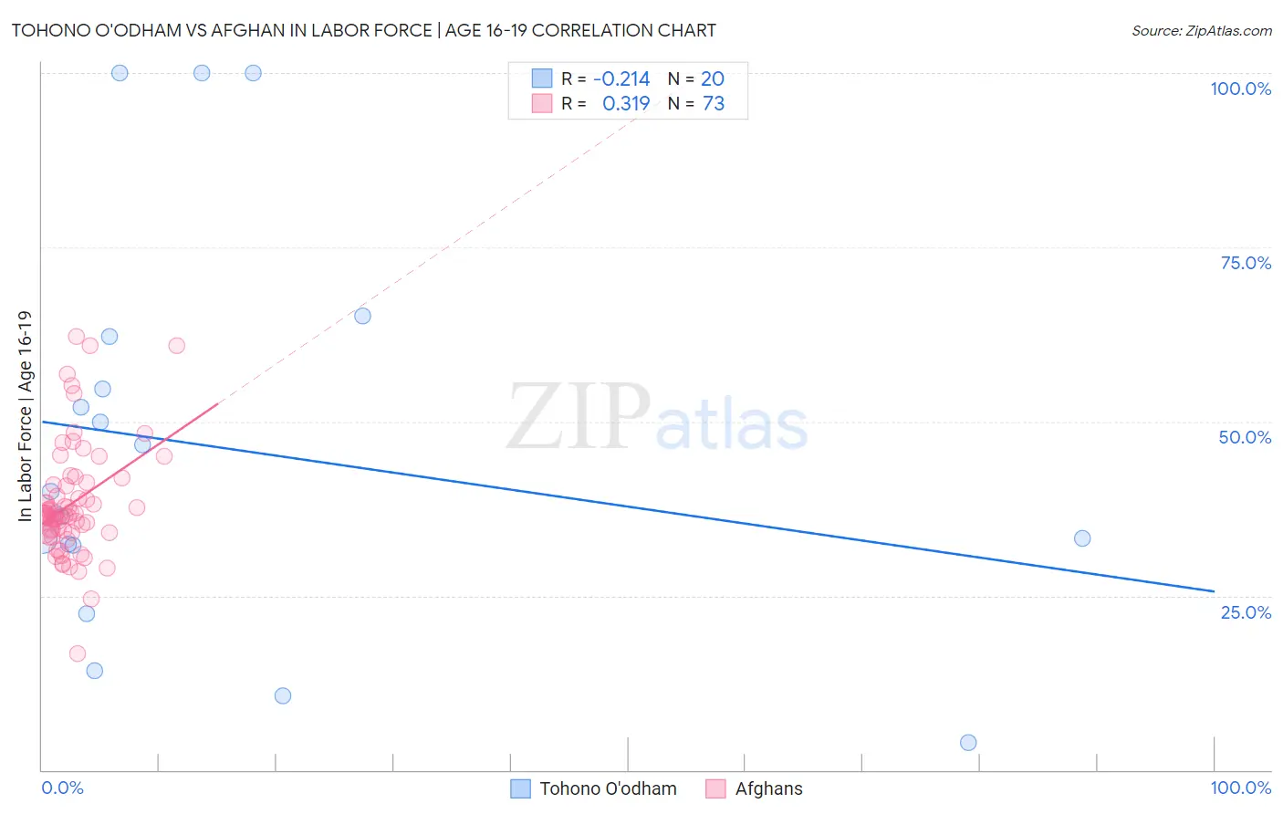 Tohono O'odham vs Afghan In Labor Force | Age 16-19