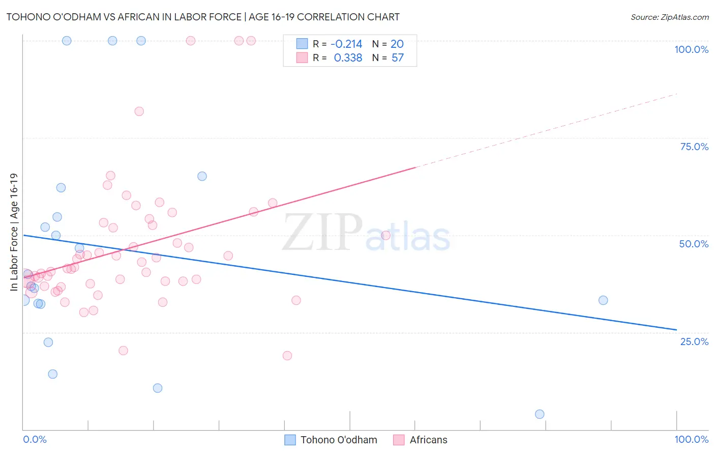 Tohono O'odham vs African In Labor Force | Age 16-19