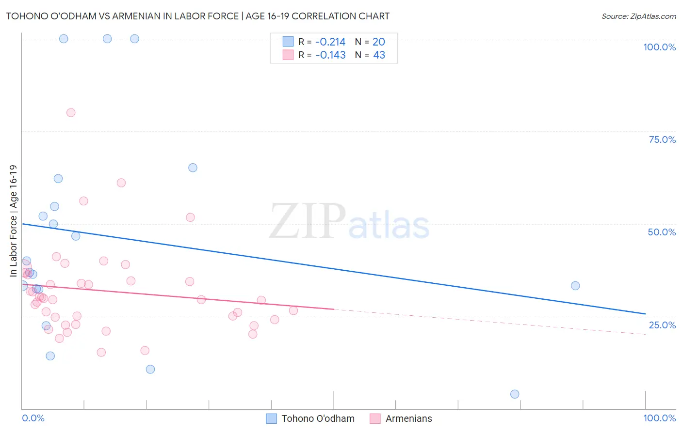 Tohono O'odham vs Armenian In Labor Force | Age 16-19