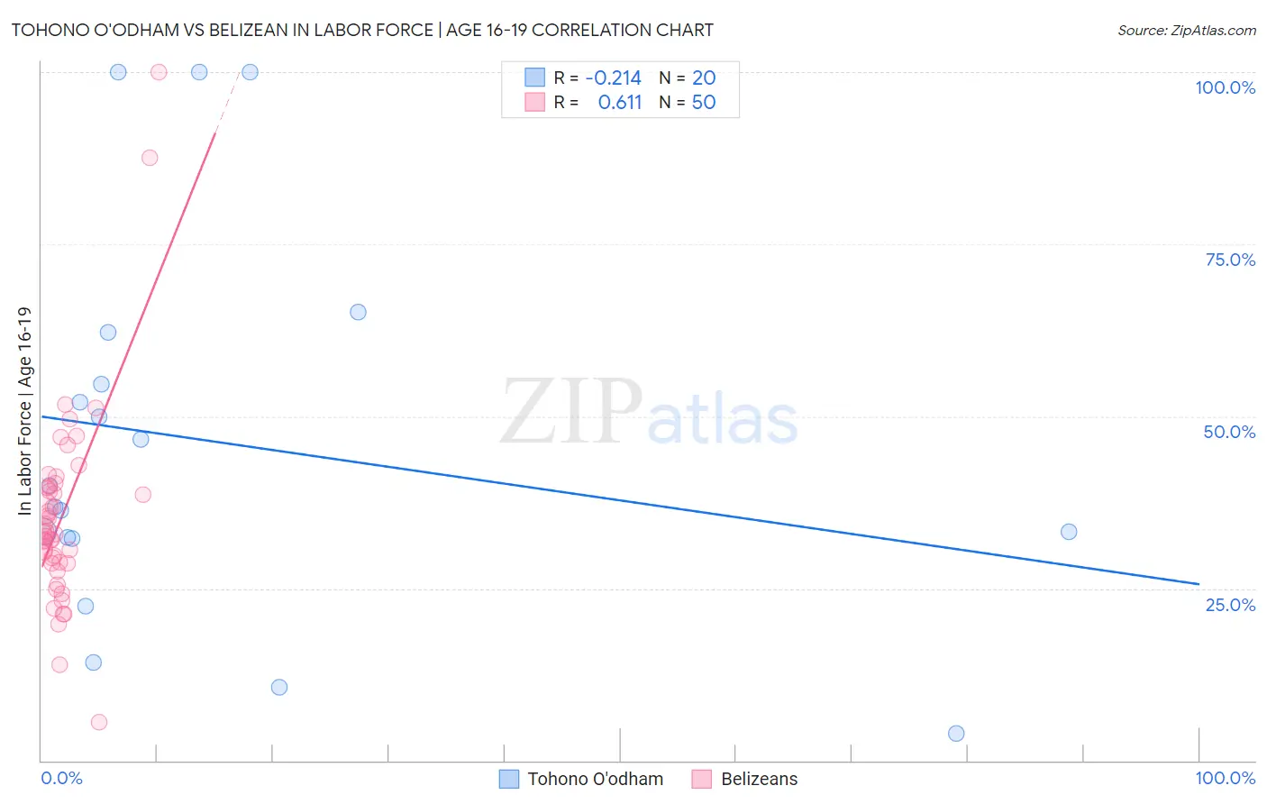 Tohono O'odham vs Belizean In Labor Force | Age 16-19