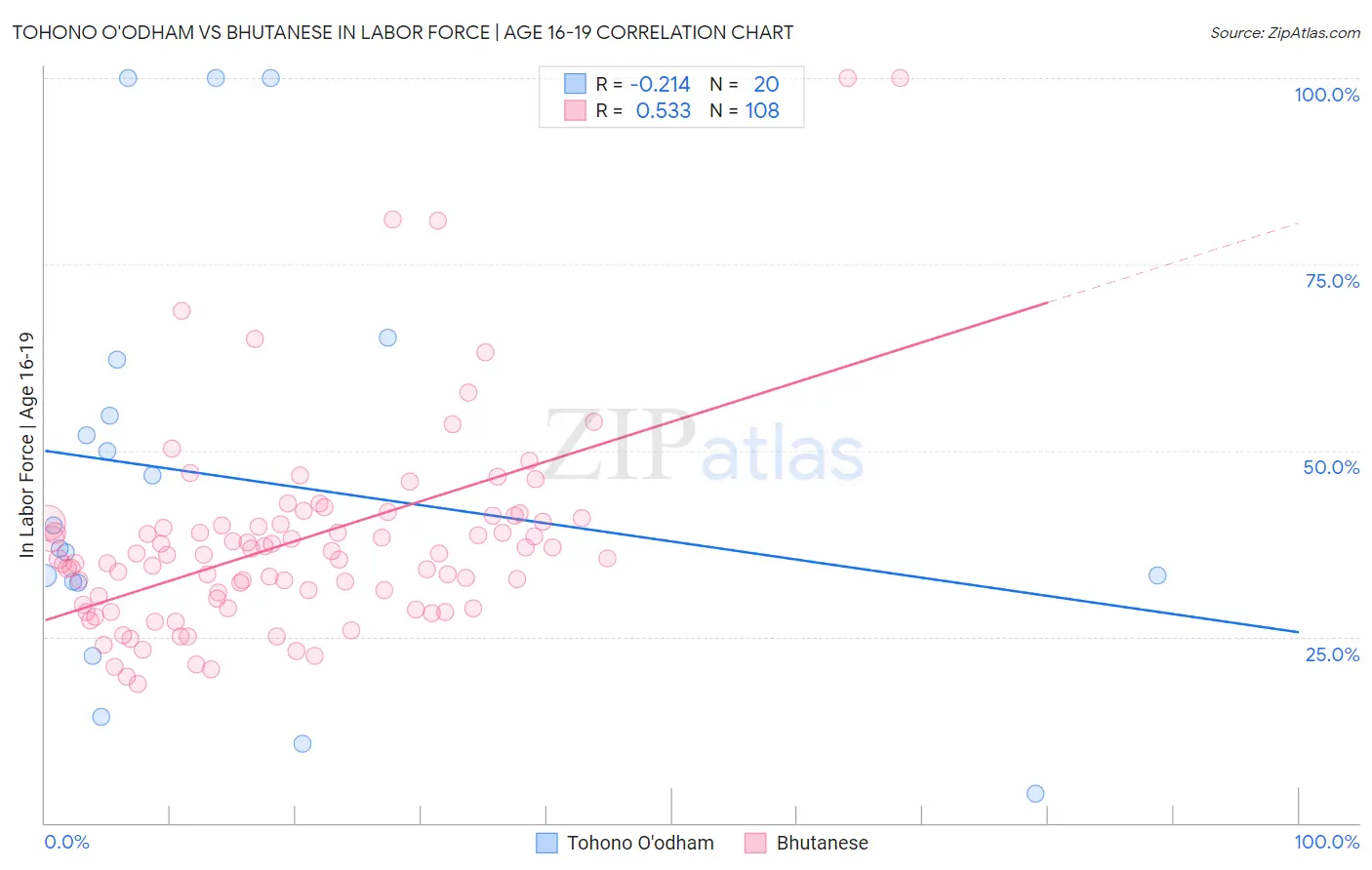 Tohono O'odham vs Bhutanese In Labor Force | Age 16-19